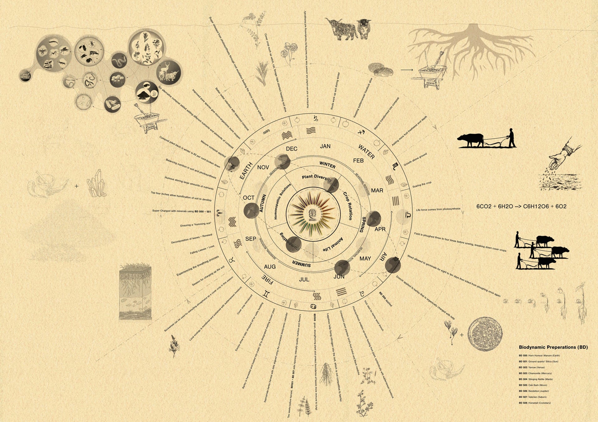 Biodynamic Barley