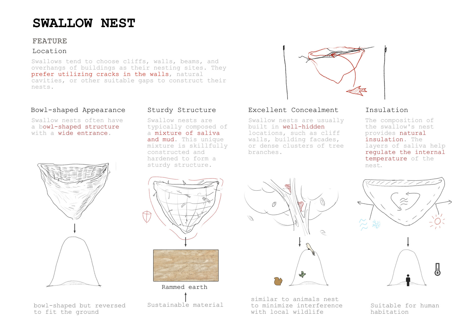 features of swallow nest