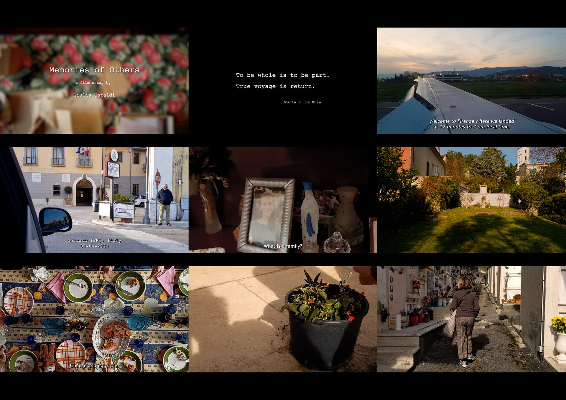 sequence of 9 still frames from the film