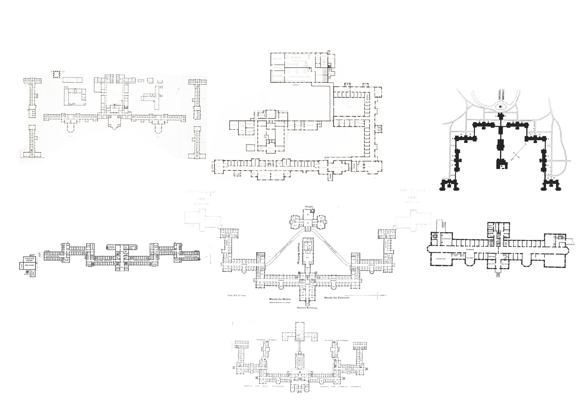 asylum plans