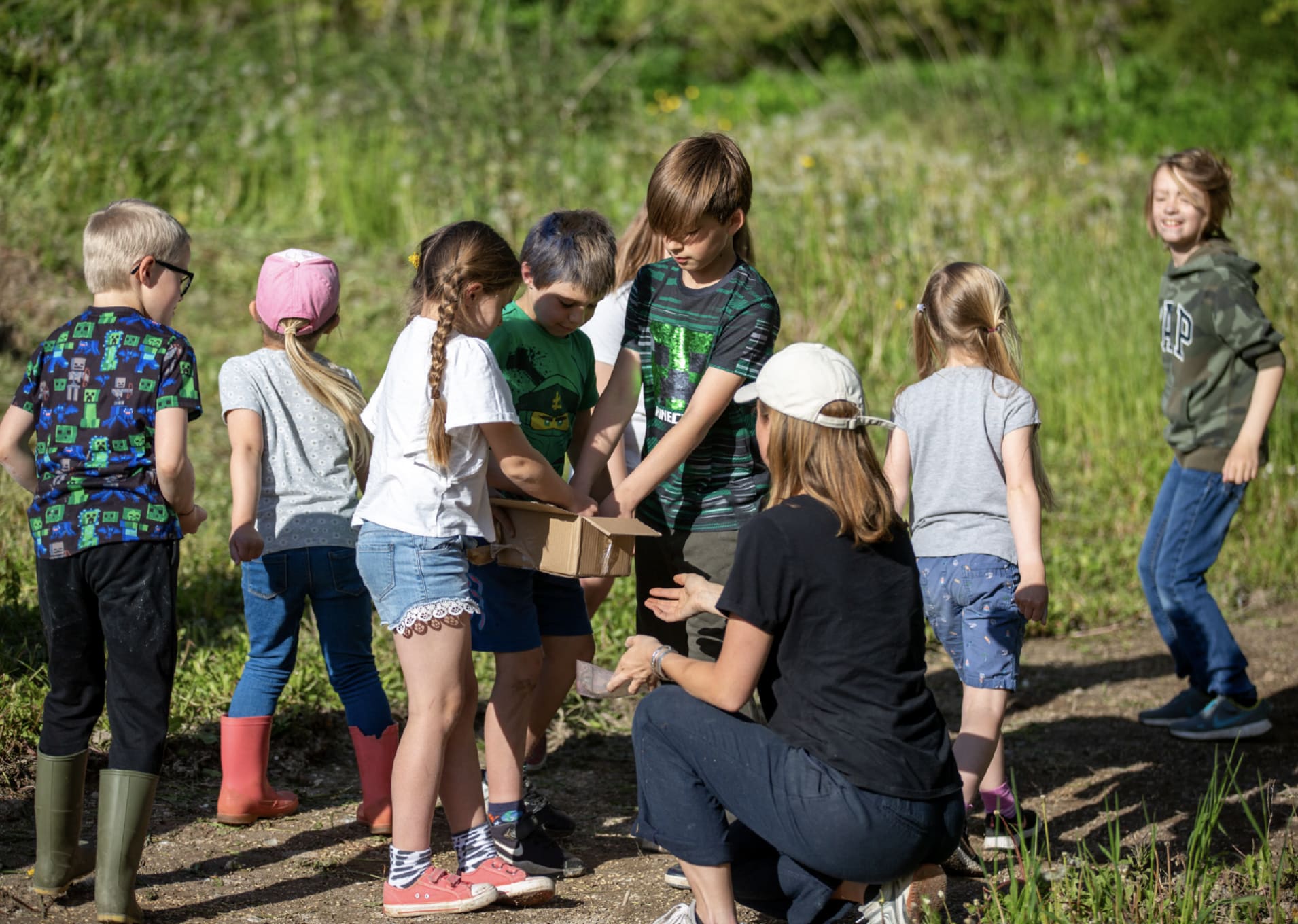 Growing a native wildflower meadow