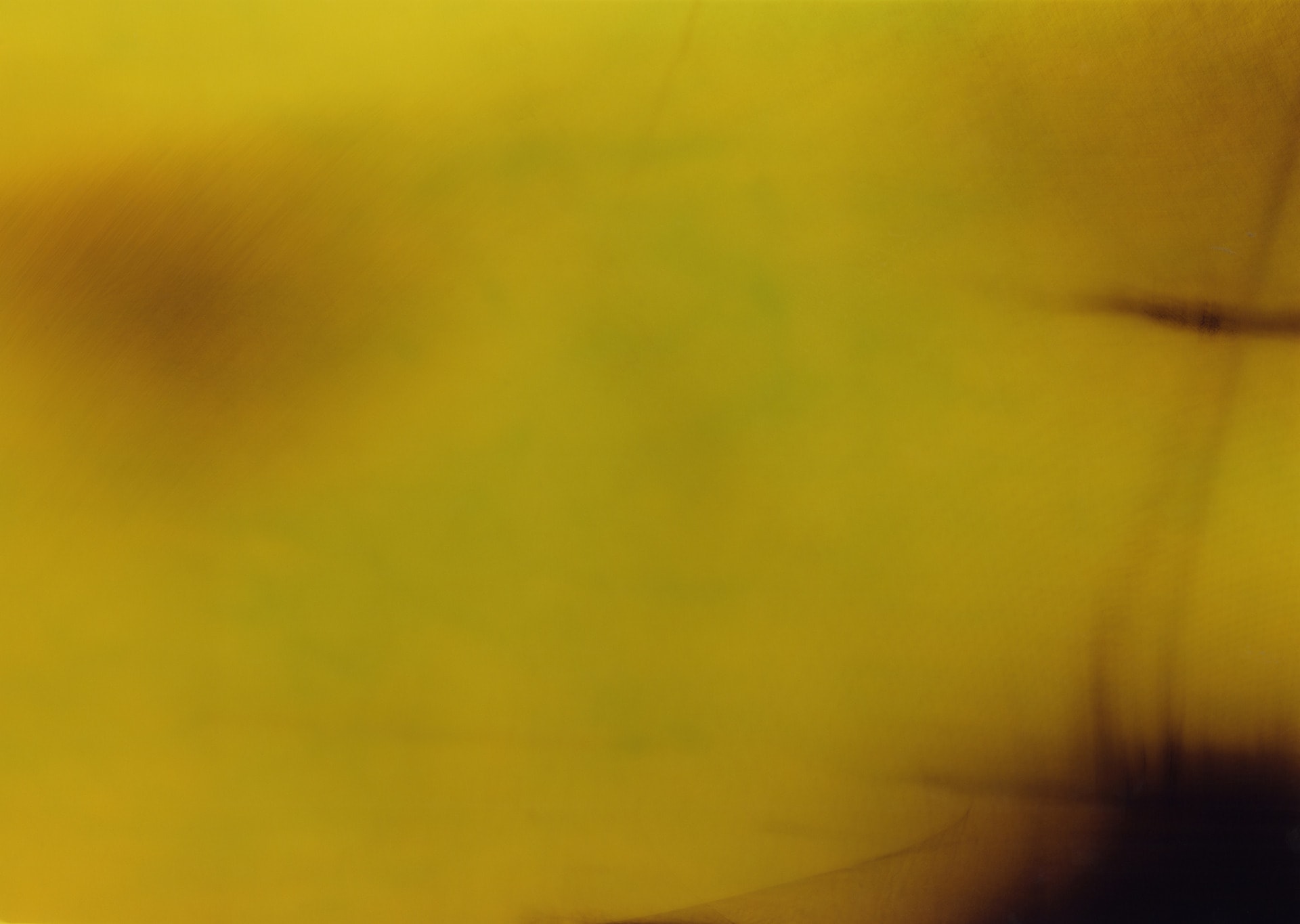 Abstract yellow photogram with very subtle traces or scratches of green, and a dark black light leak seeping in on the right