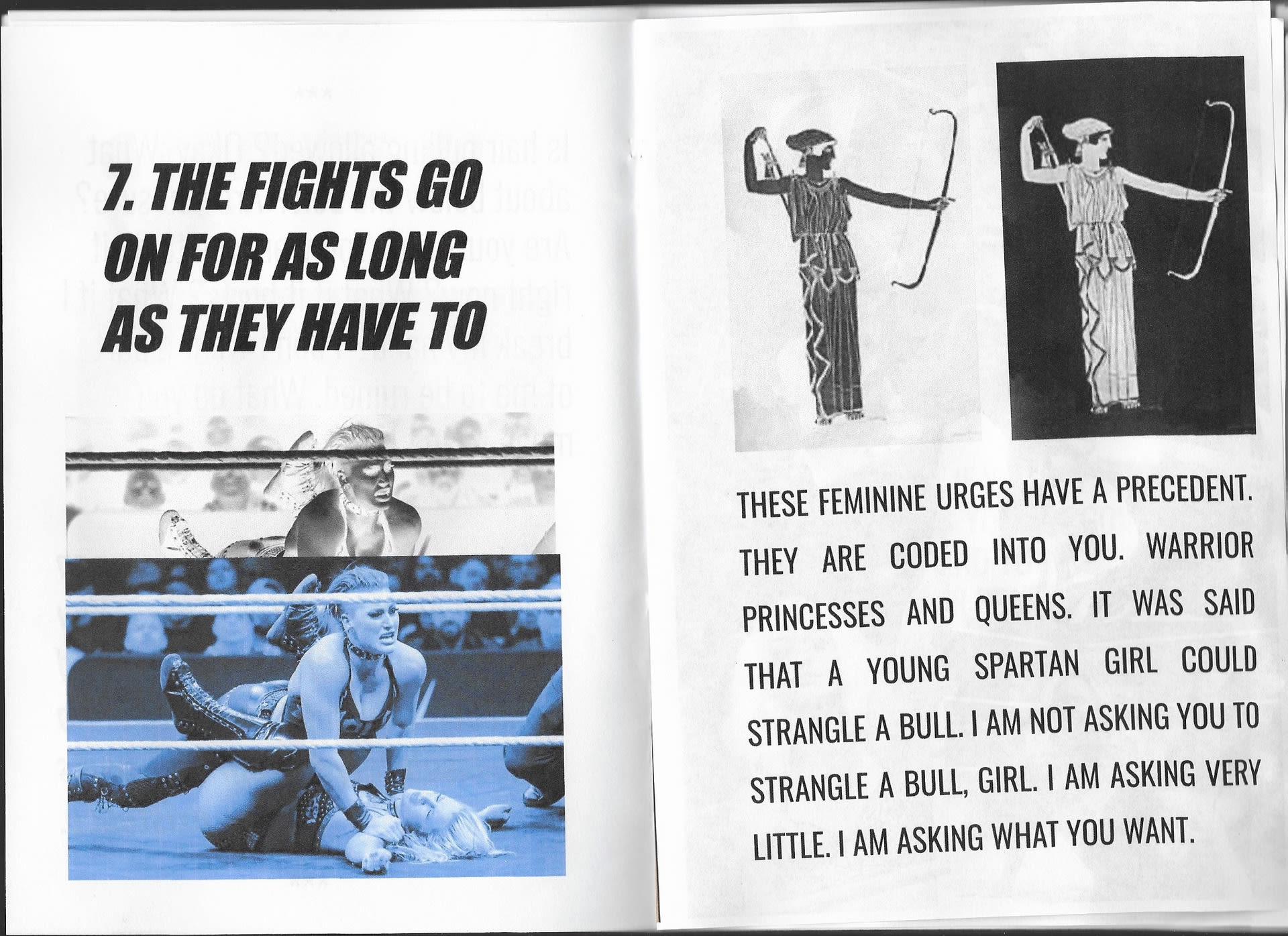 Pages 12-13 of the self-published pamphlet, Catfight Club.