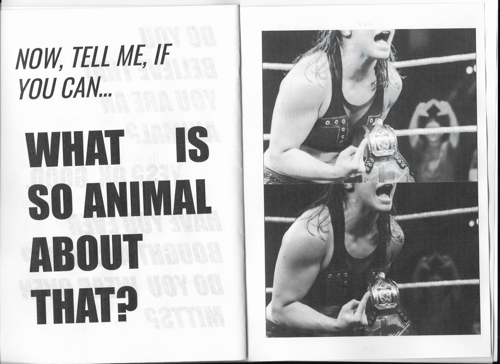 Pages 26-27 of the self-published pamphlet, Catfight Club.