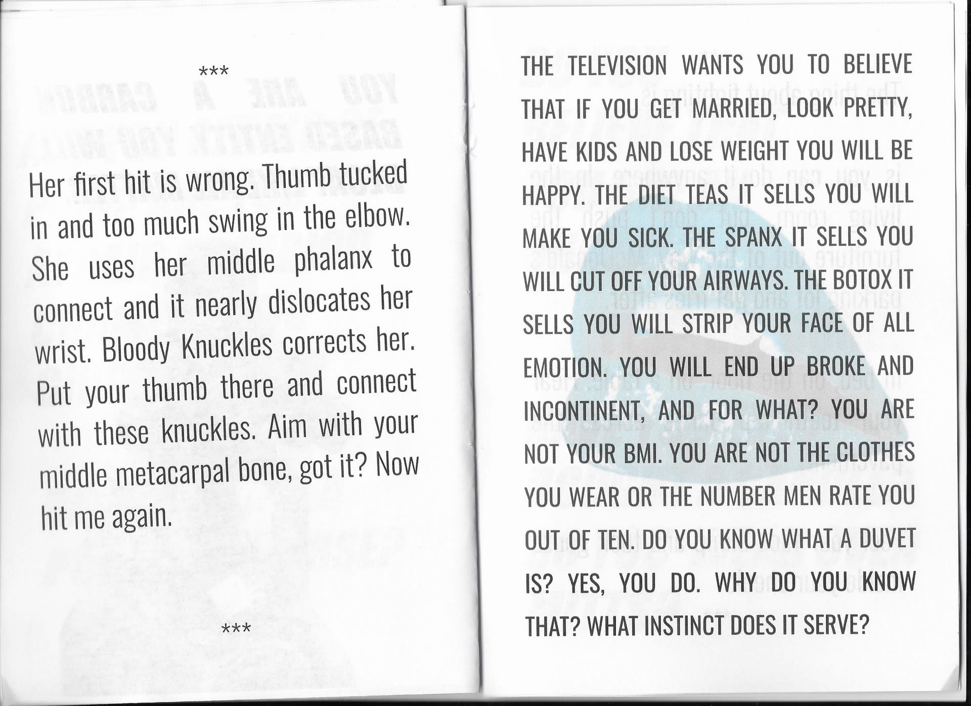 Pages 22-23 of the self-published pamphlet, Catfight Club.