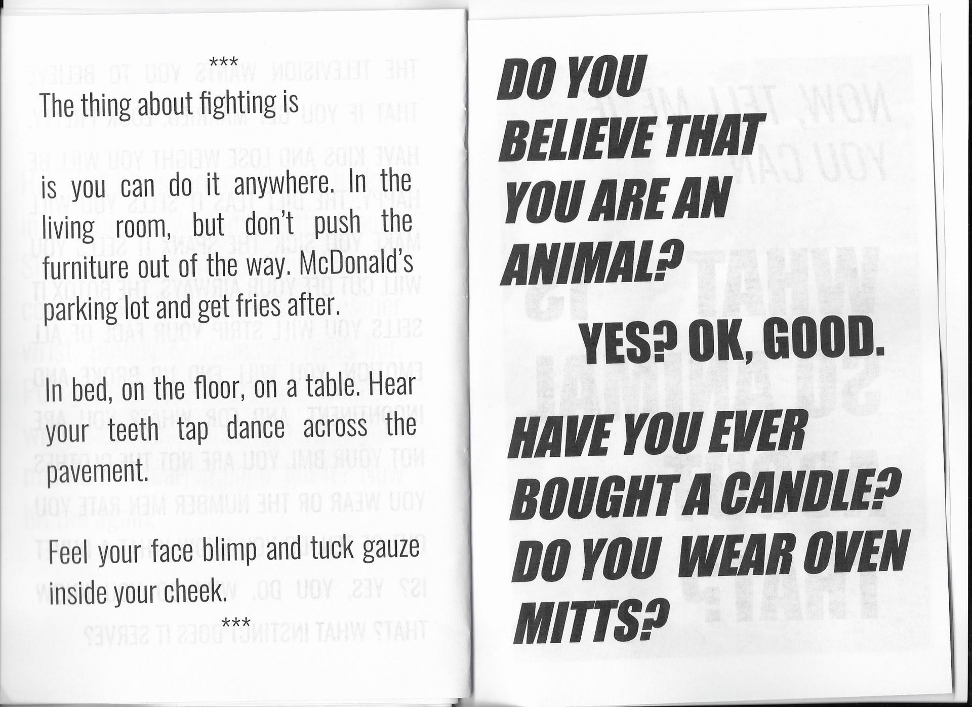 Pages 24-25 of the self-published pamphlet, Catfight Club.