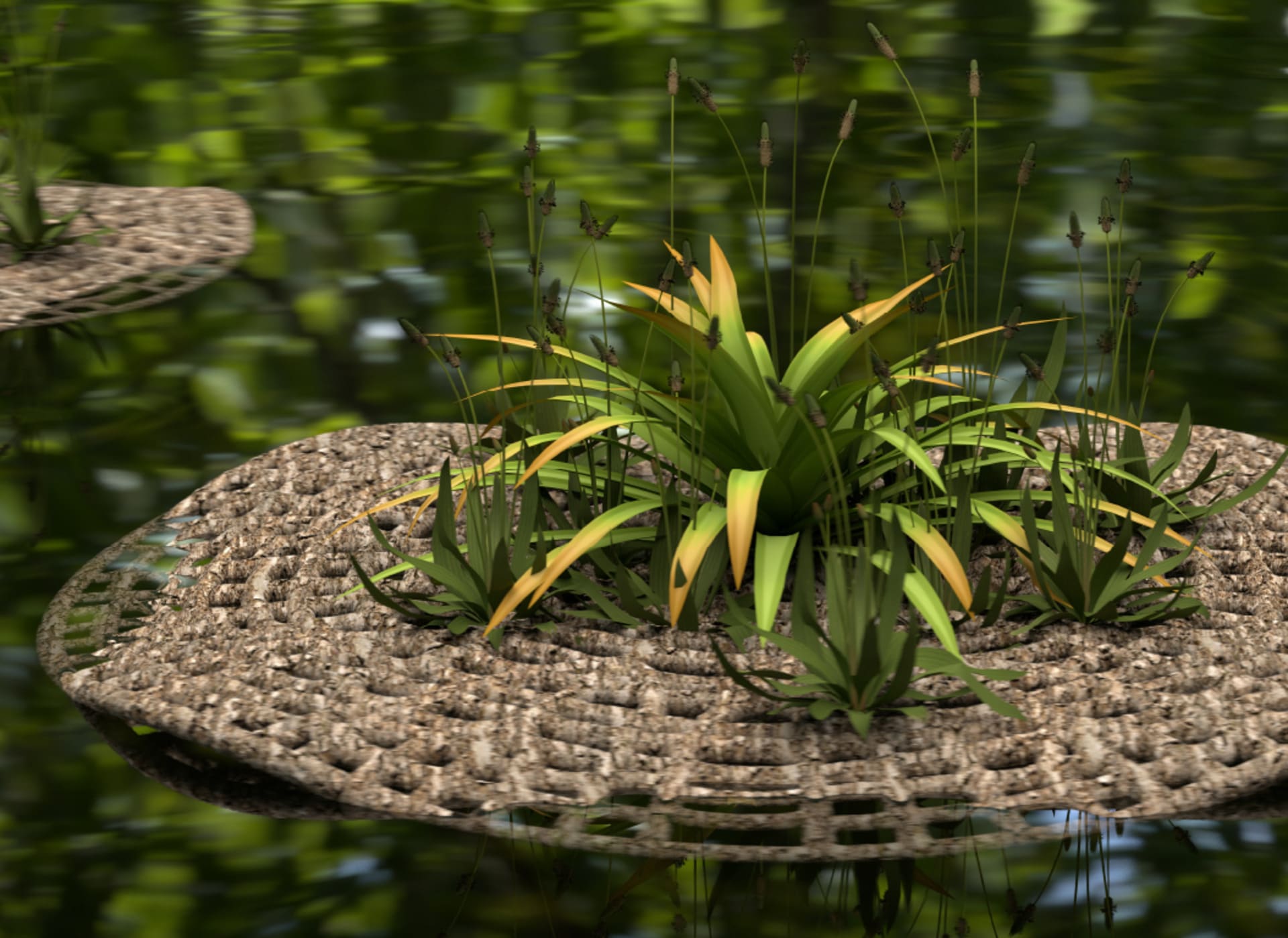 nutriflow render on wetland water