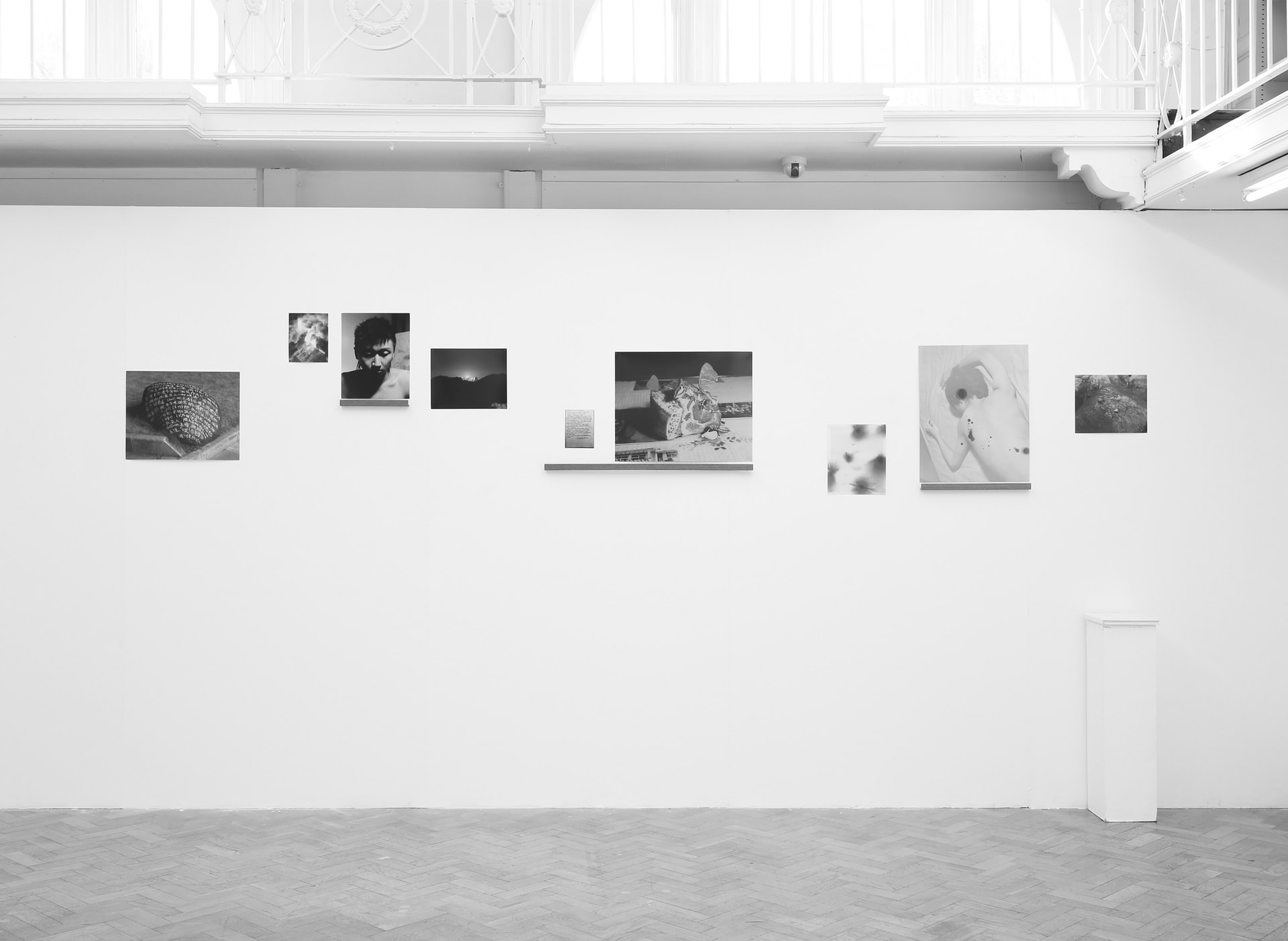 Selected works in the exhibition 