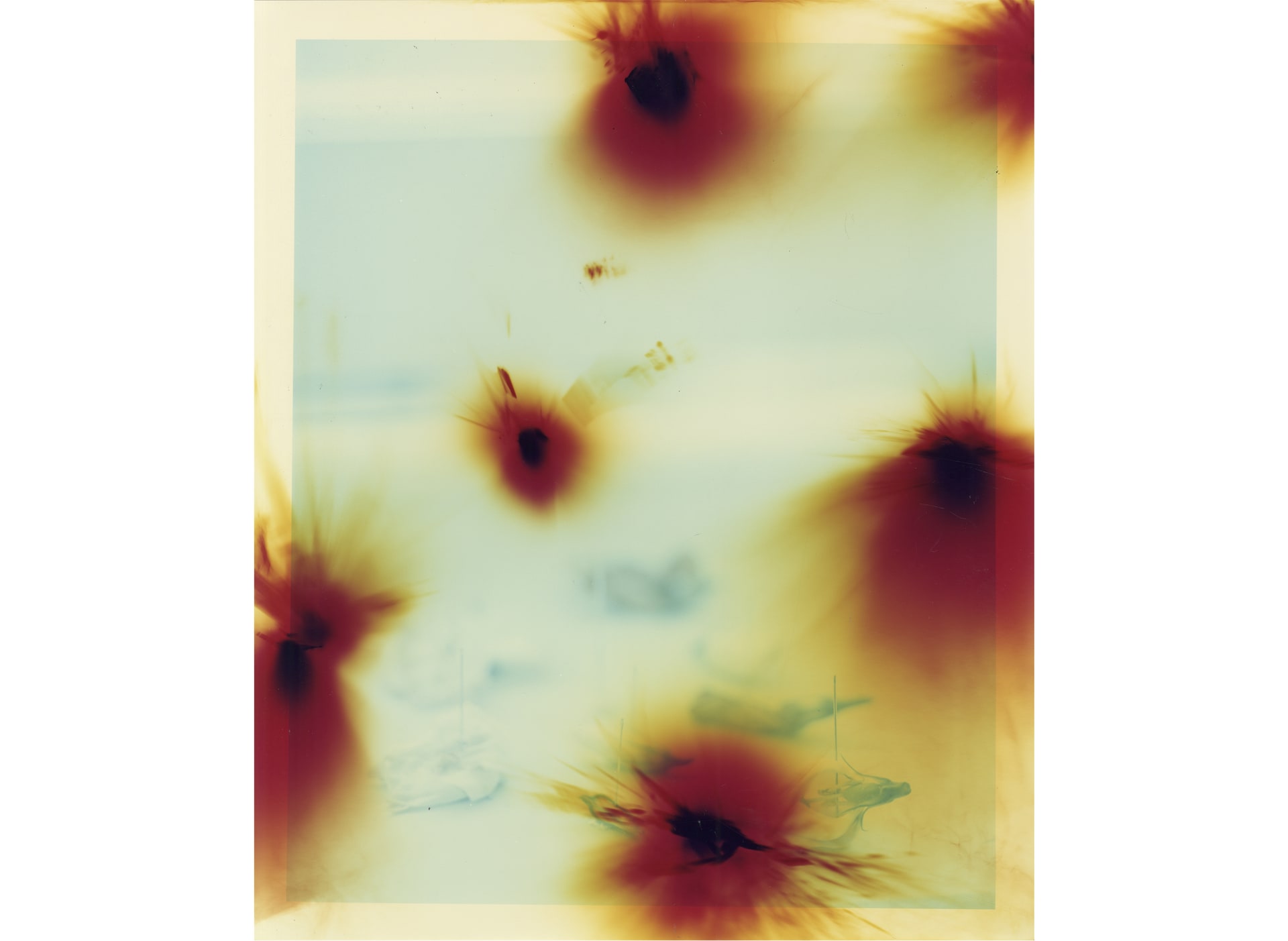 “Flower petals pinned on the window”