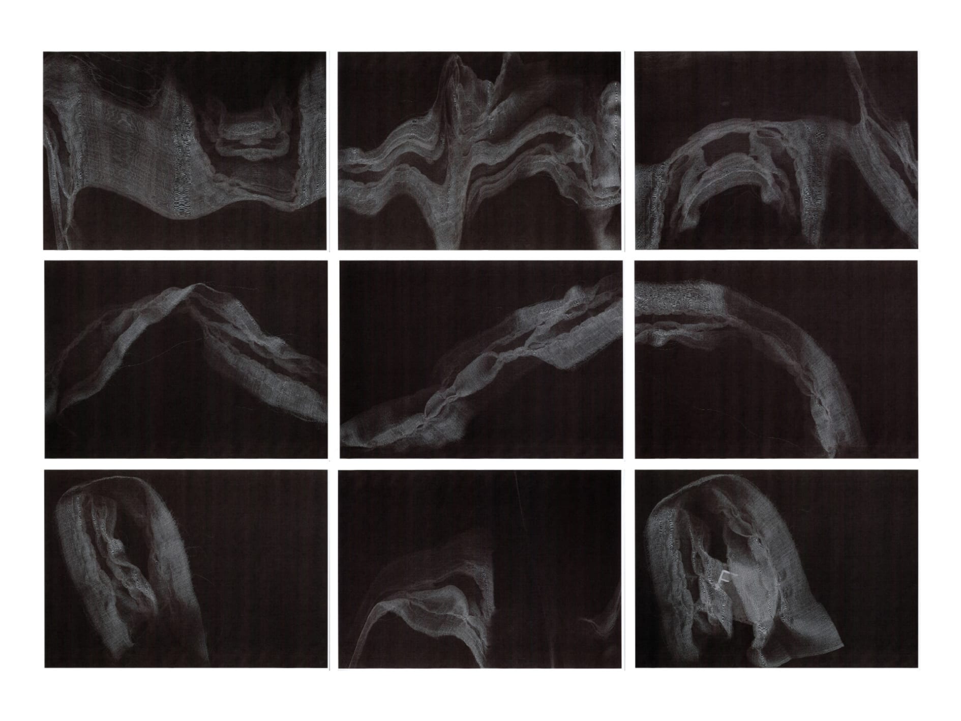 playing with scanned images of piña 
