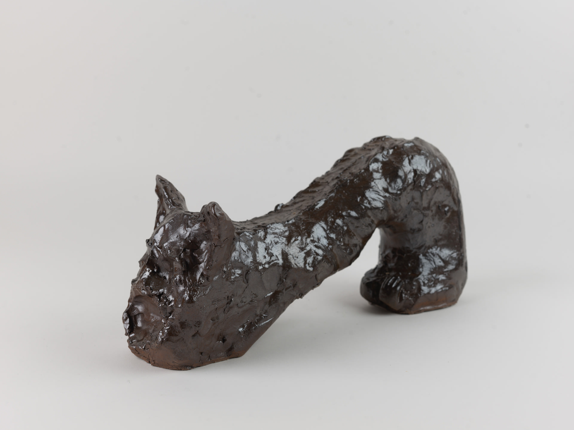 A cat face on a dragon body
