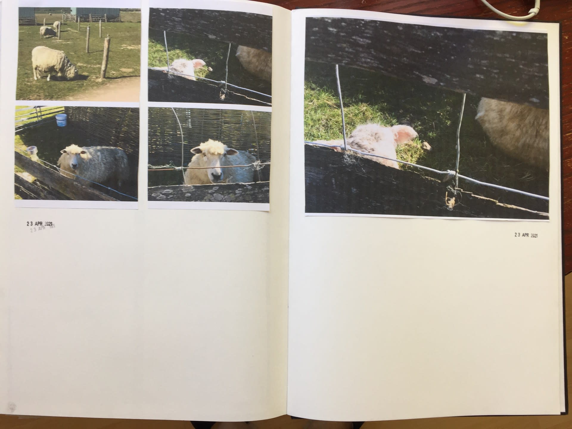 [untitled]