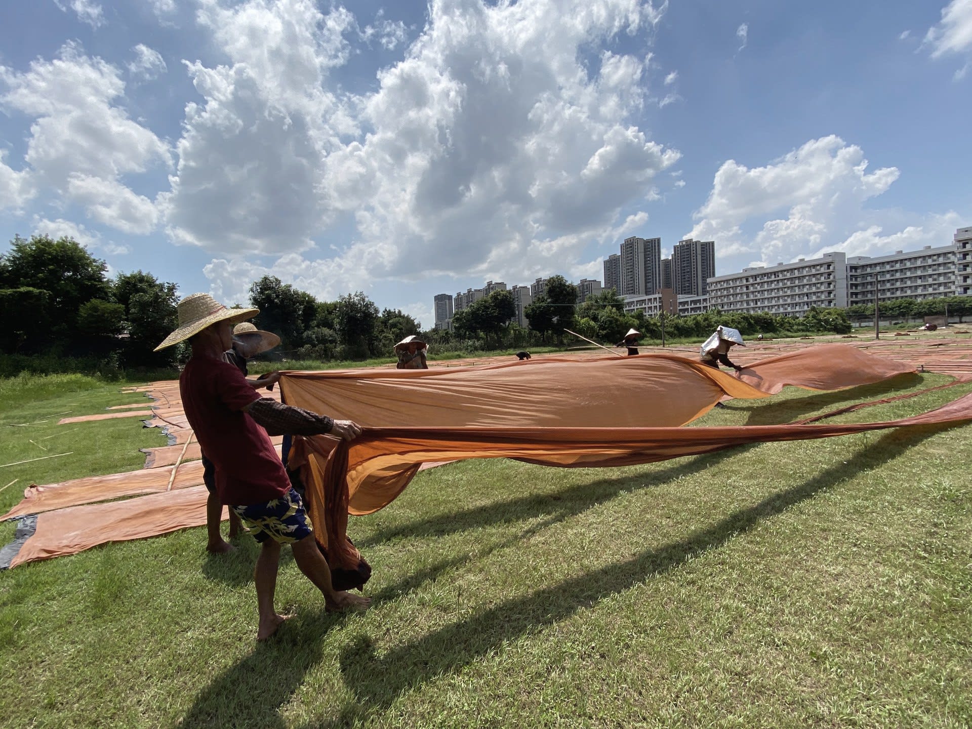 Sunshine Drying process