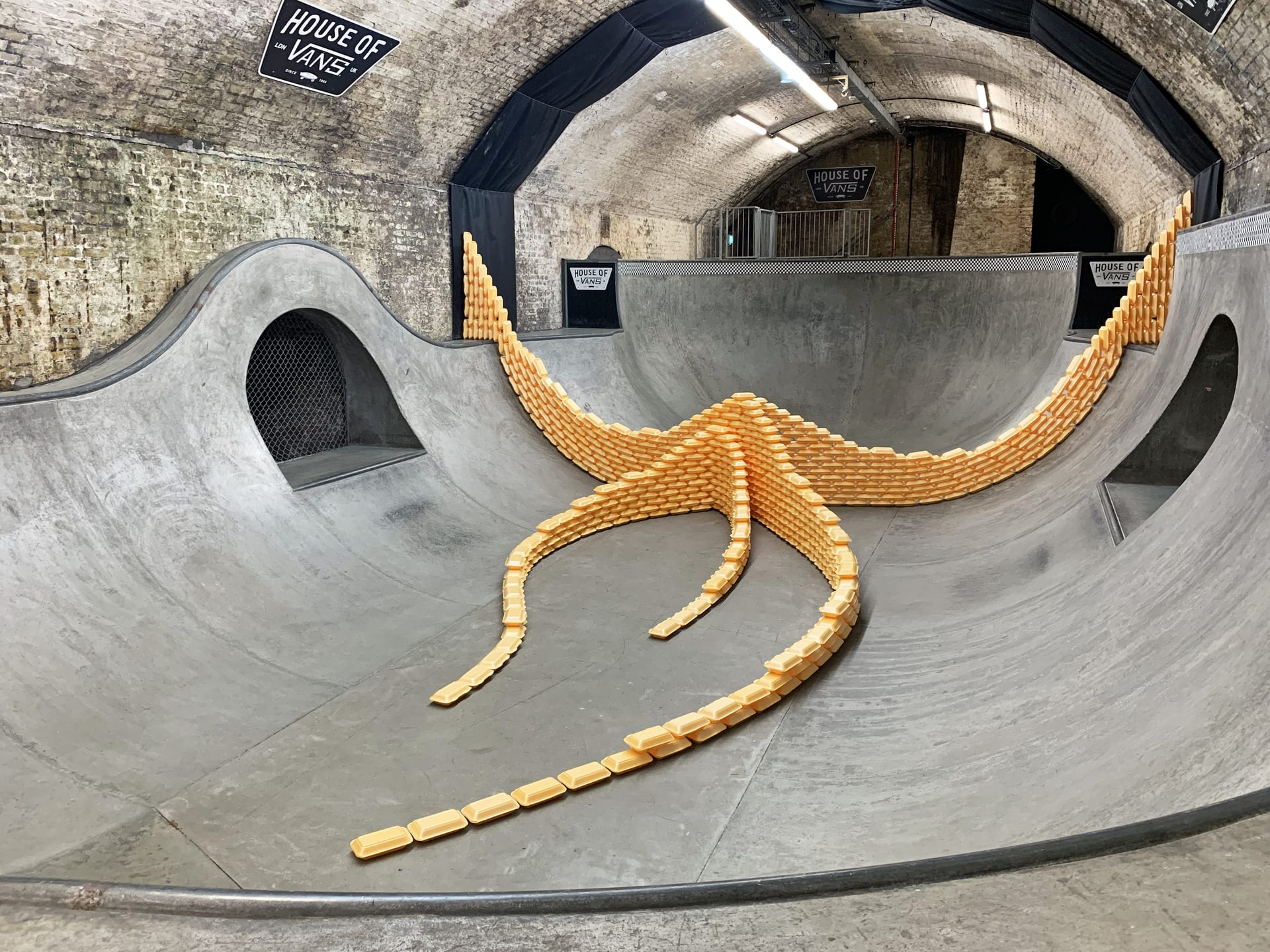 takeaway containers inside a skateboarding bowl