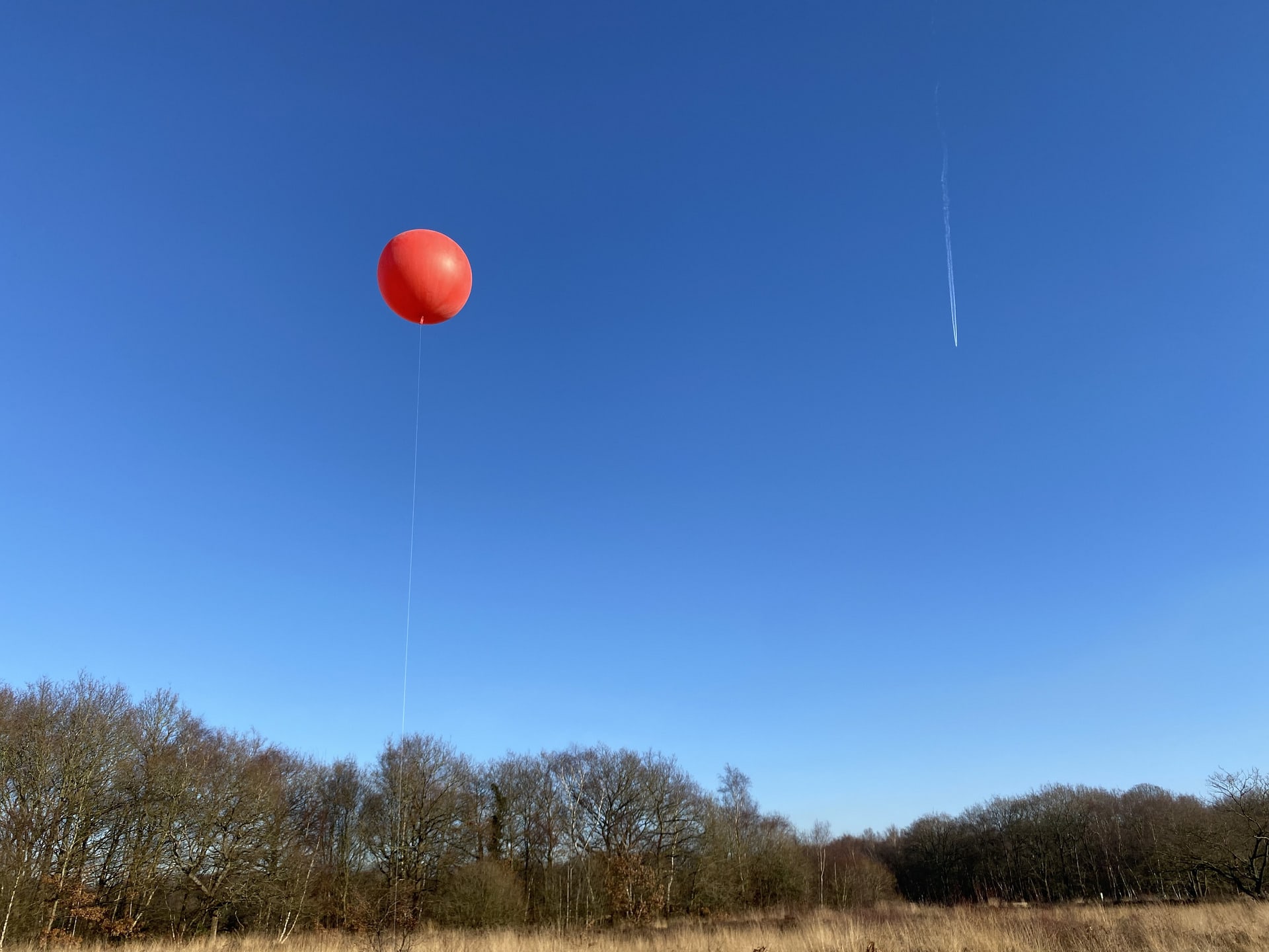 Attaching a camera to a meteorological balloon and completing a series of walks across Wimbledon Common.