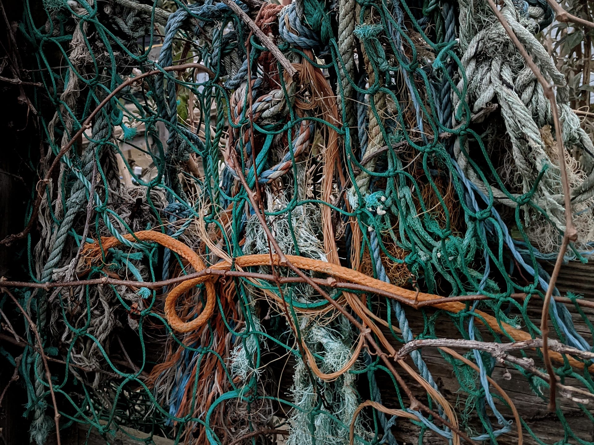 Shoreham-by-Sea Knots