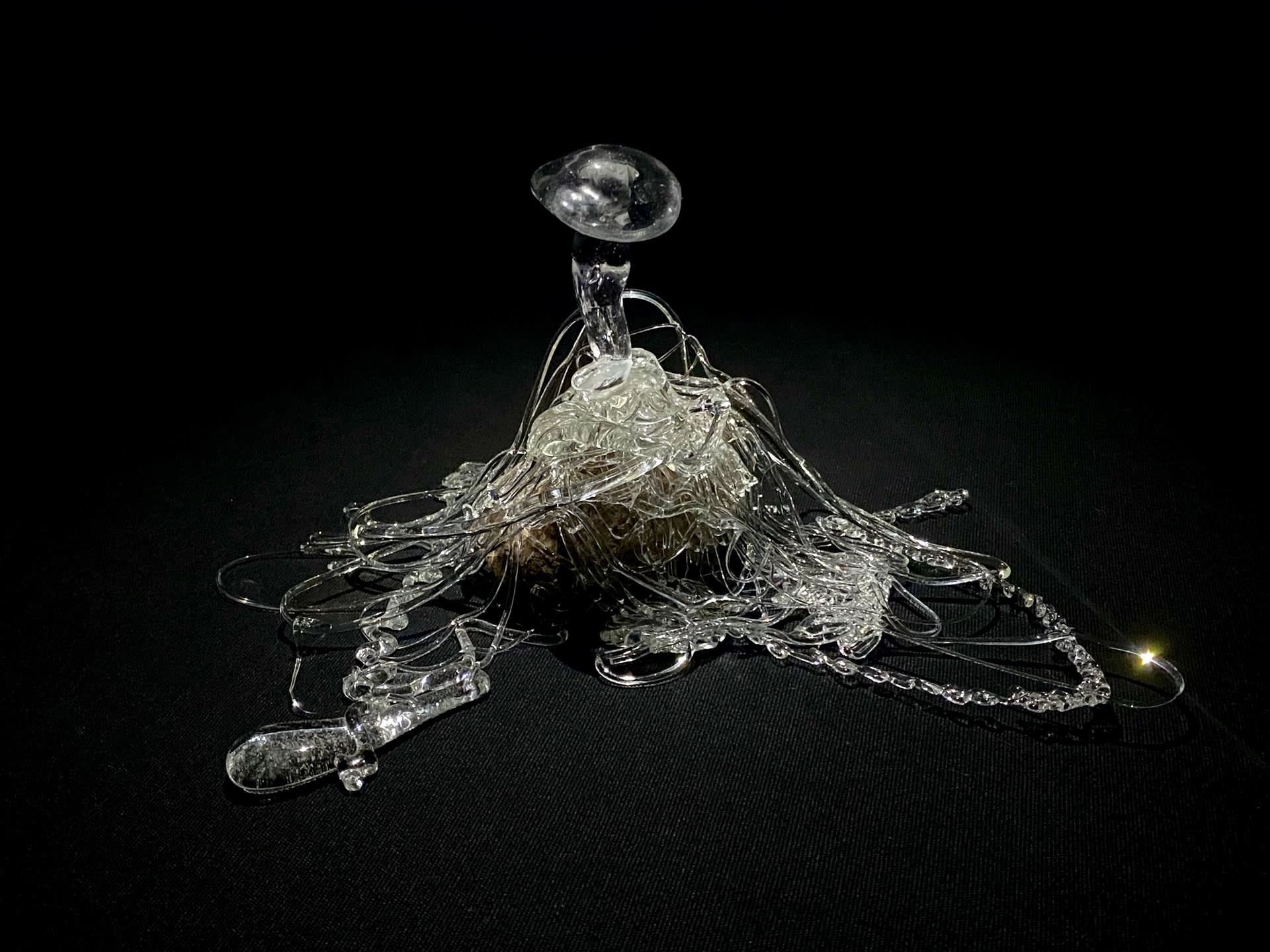 Entanglement, glass  stone