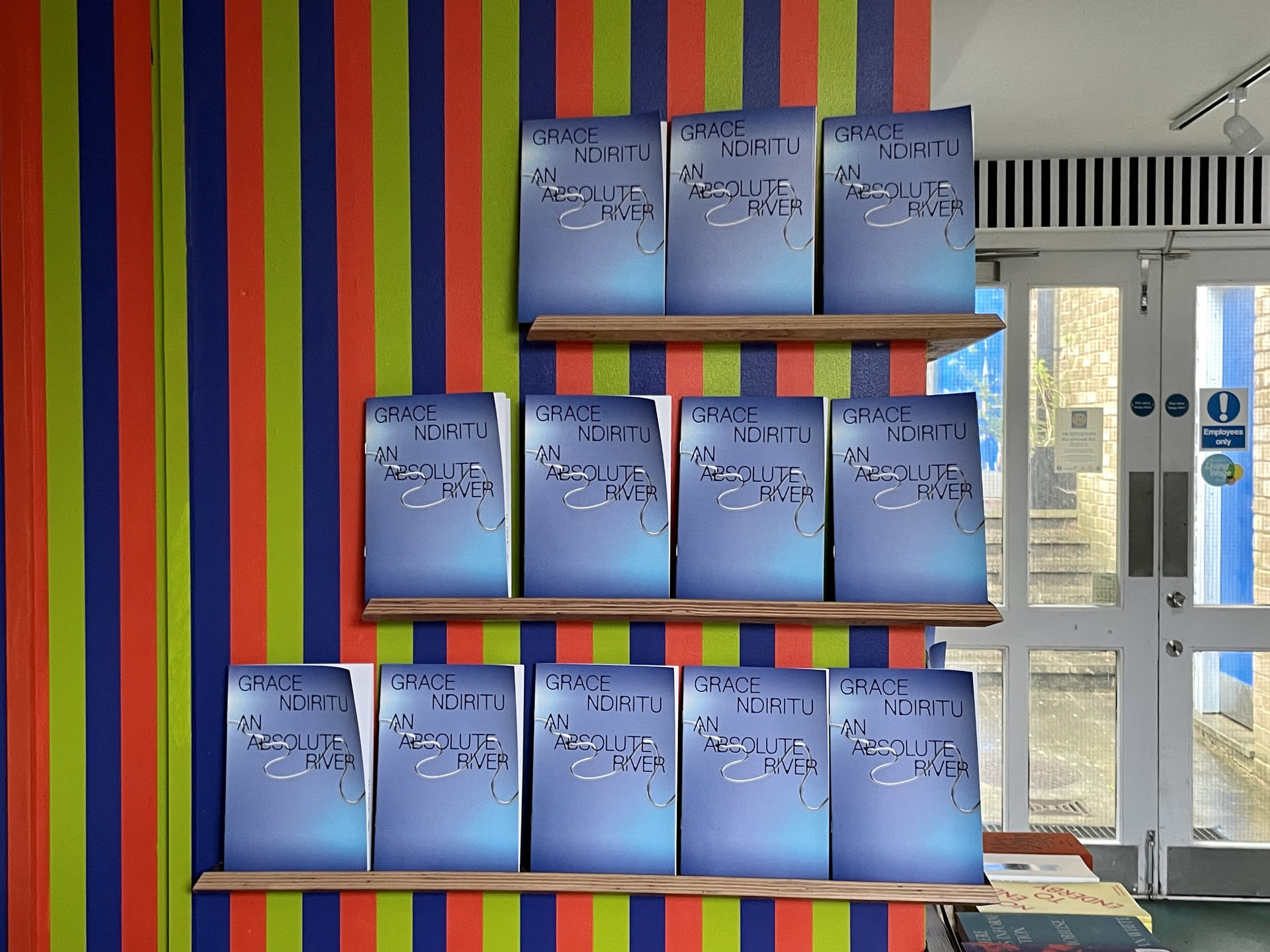 Installation View: Publication of "Grace Ndiritu: An Absolute River", 2022. Photo: Jieyi Zhang
