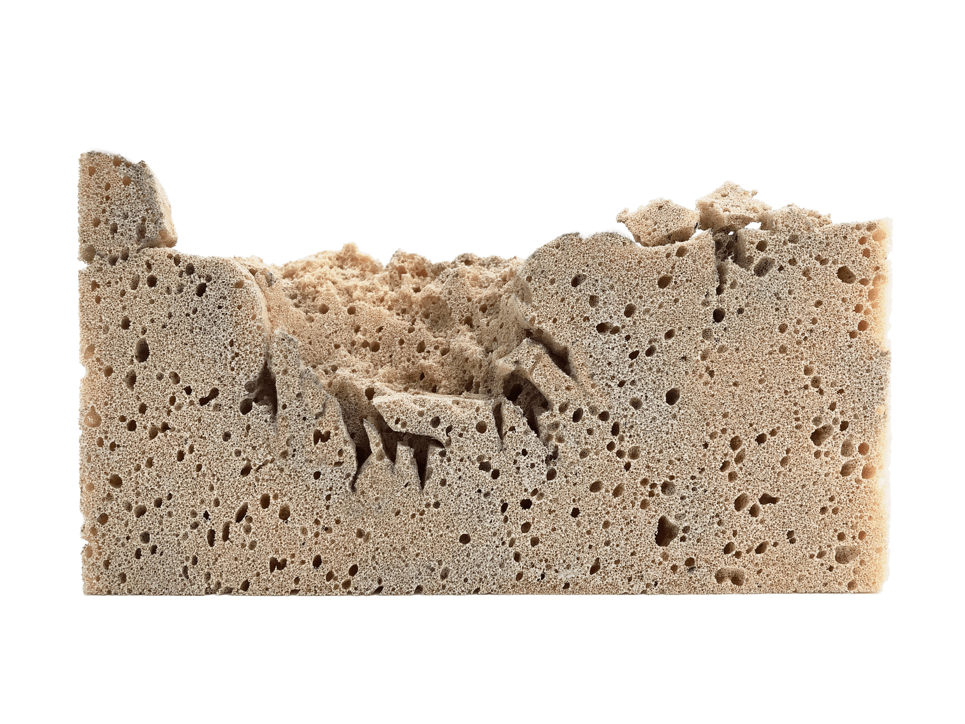 Sponge model - Vegetation crevice (pore)