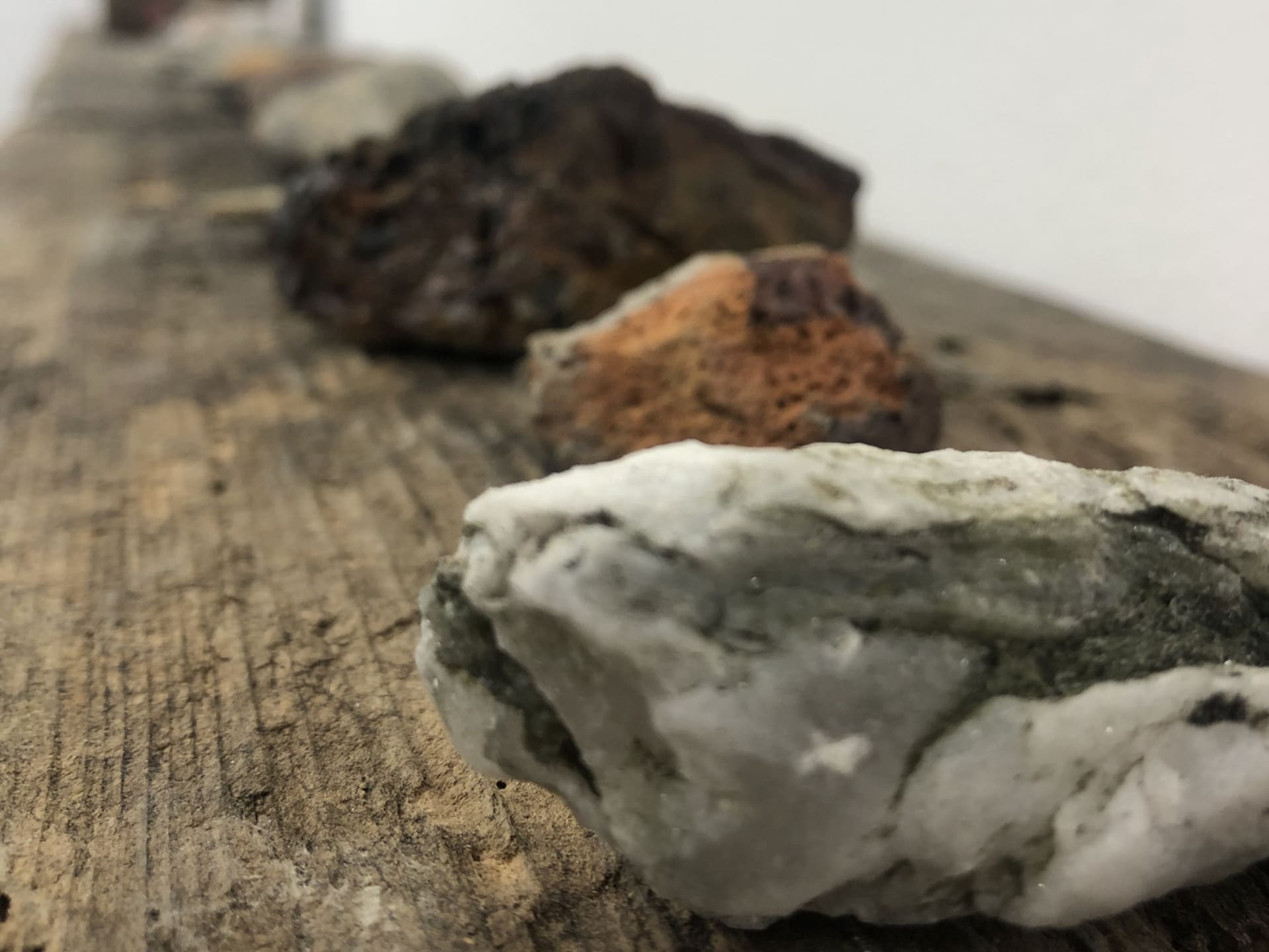 Earth scabs, Mushroom paper (hand grown mushrooms, milled flaxseed, recycled paper), rock collection, driftwood