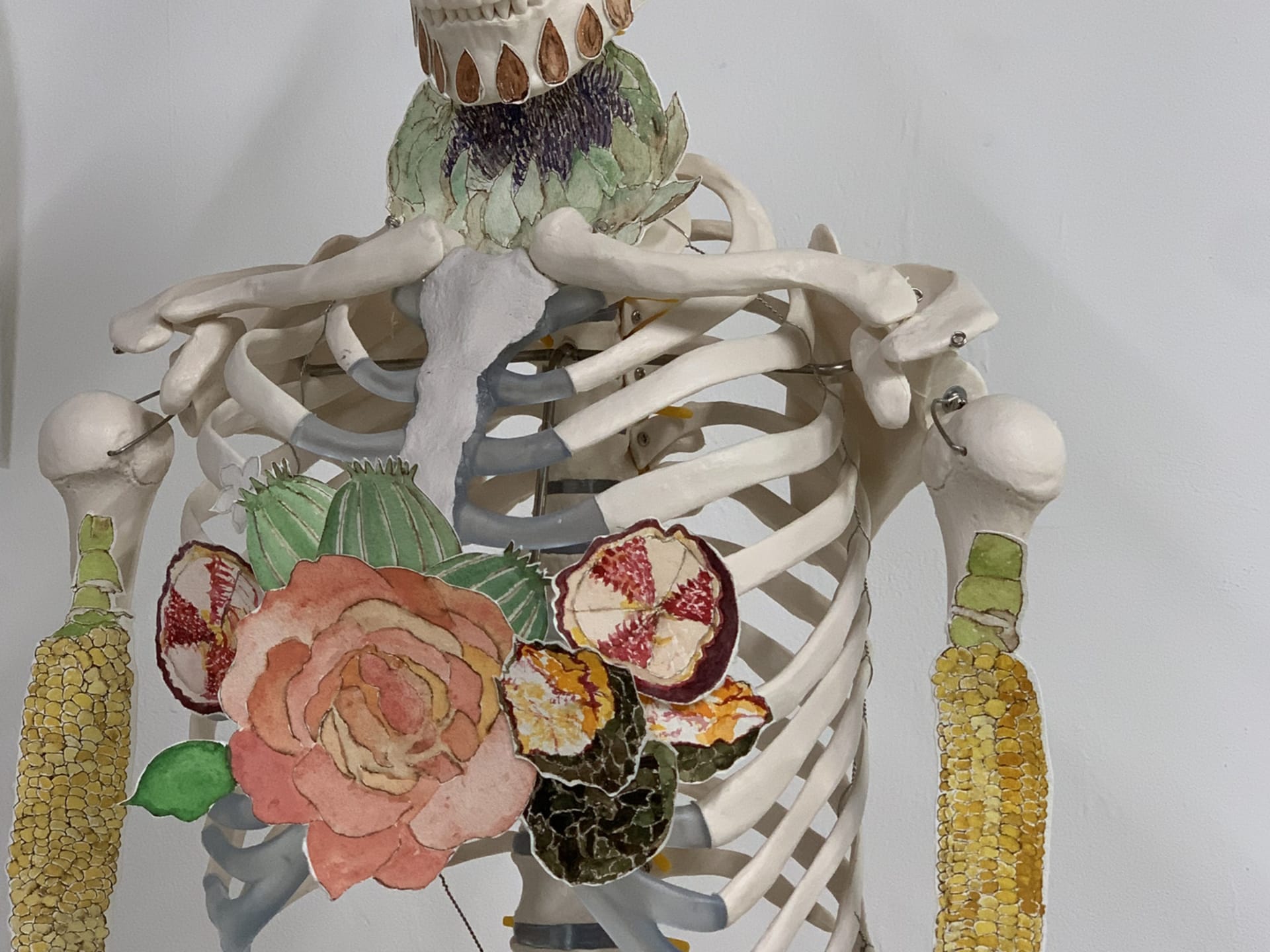 a skeleton with paintings of fruits, vegetables, nuts and flowers