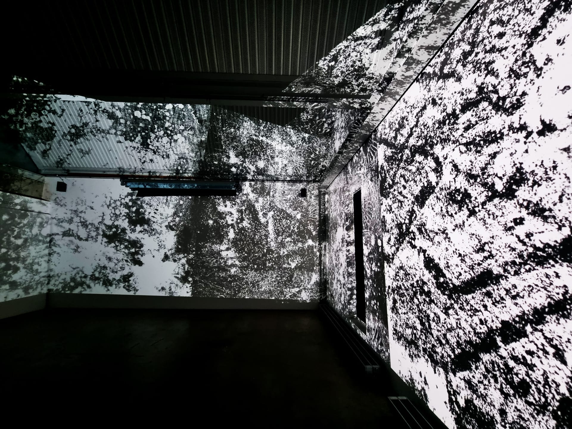 Dark room with abstract black and white projections on all walls.