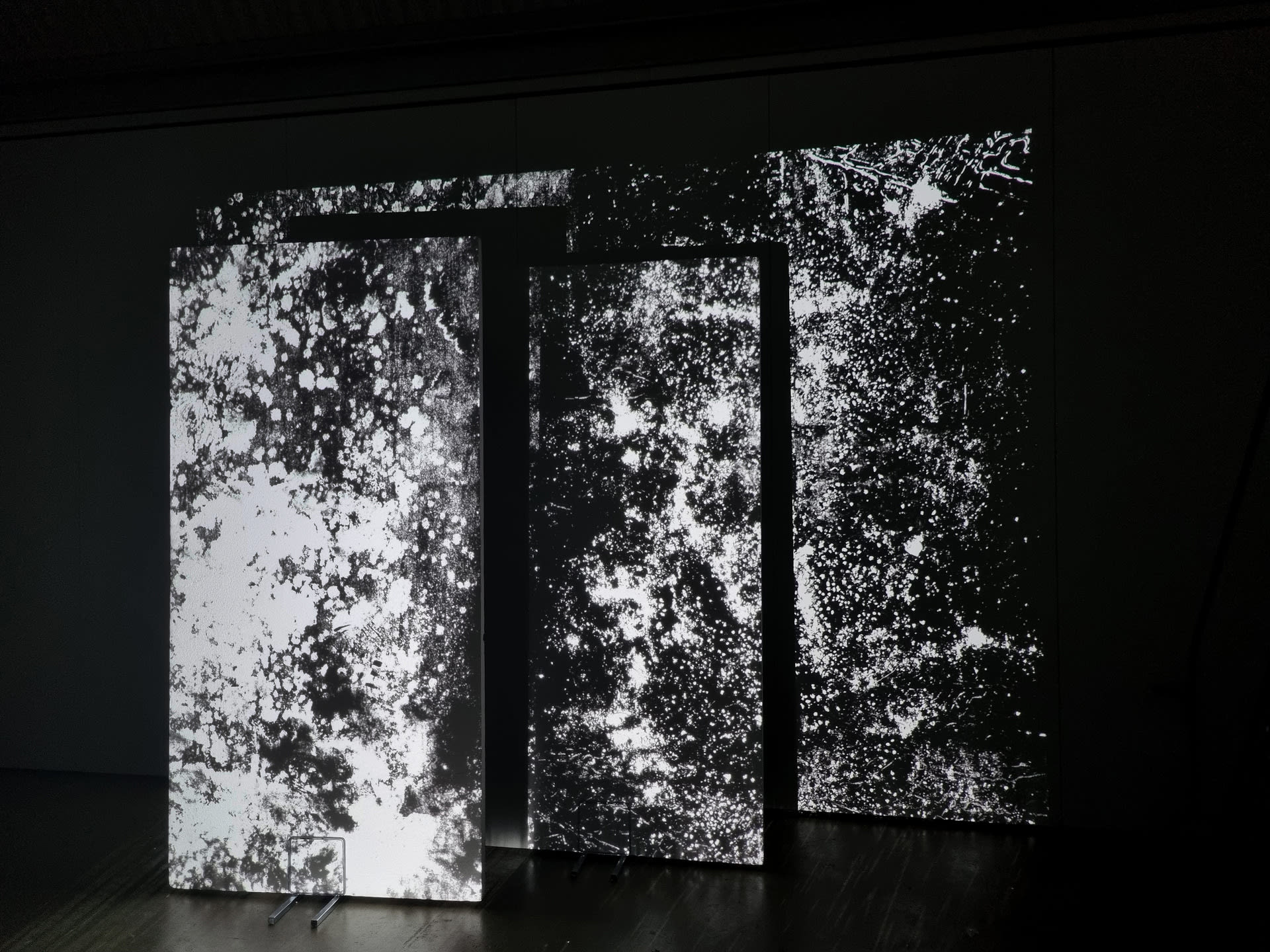 dark room with three boards with abstract black and white projections 