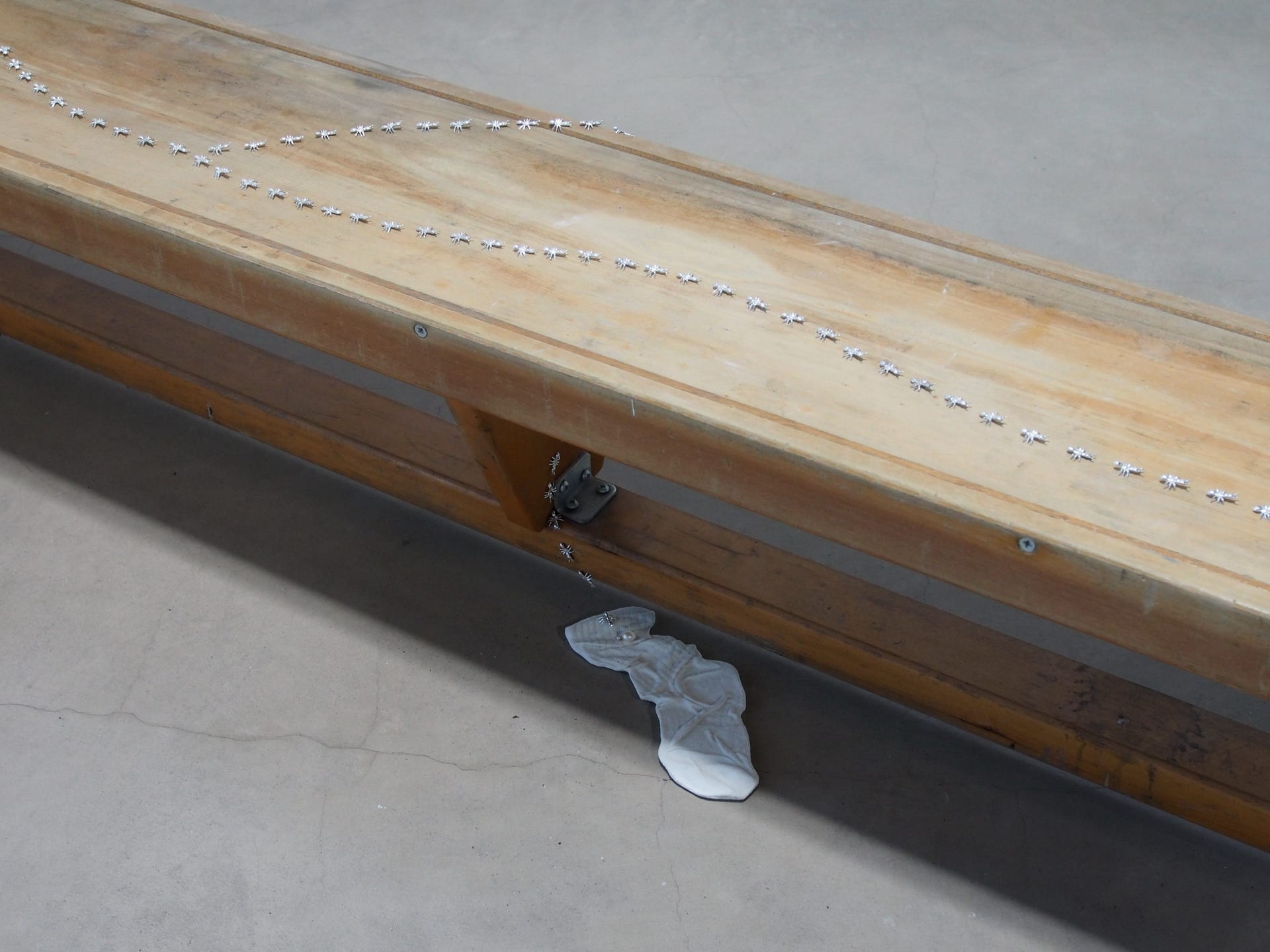 birds eye shot of gym bench covered in silver ants, ceramic sock on the floor below 