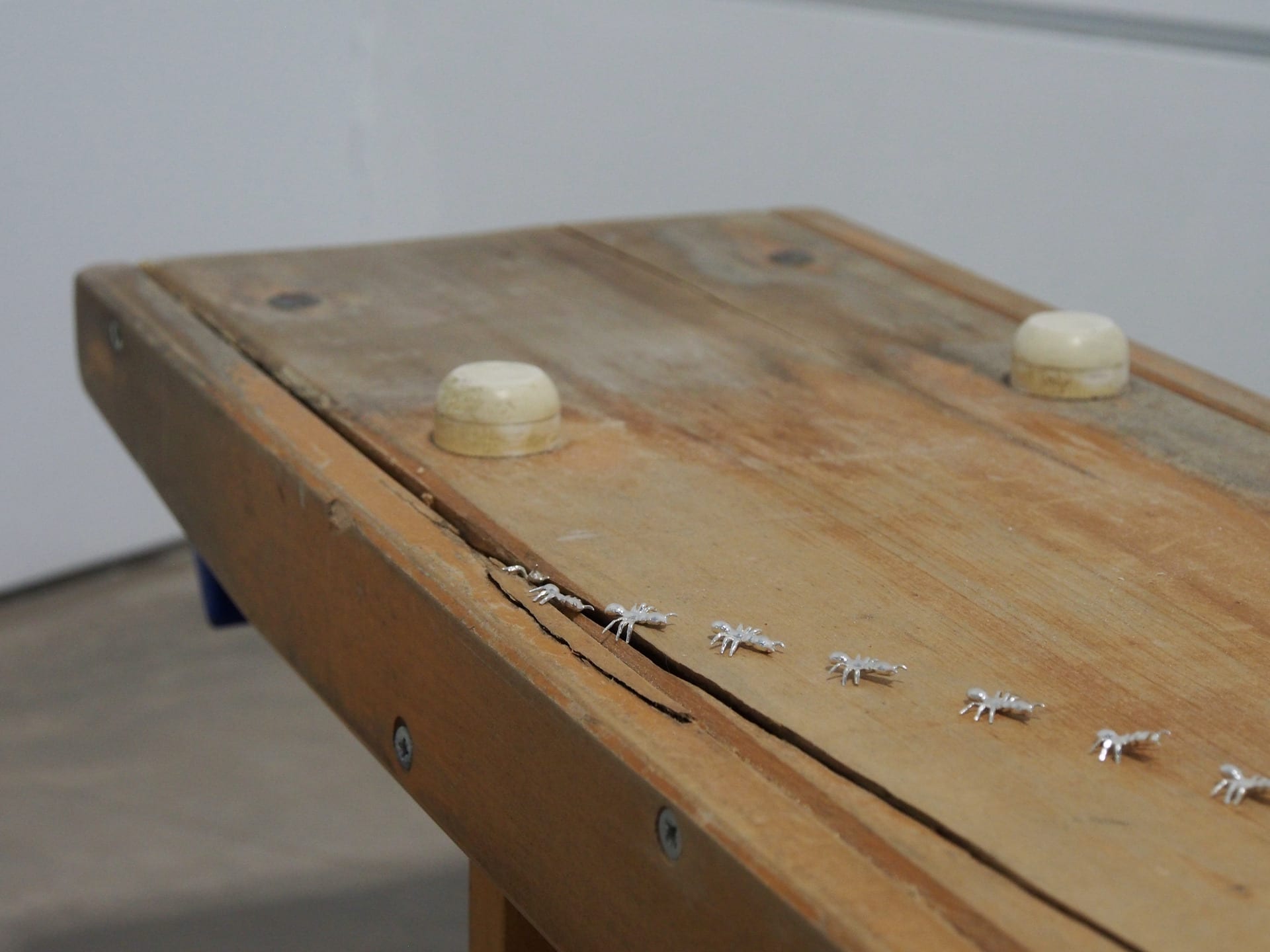 silver ants crawling from crack in gym bench