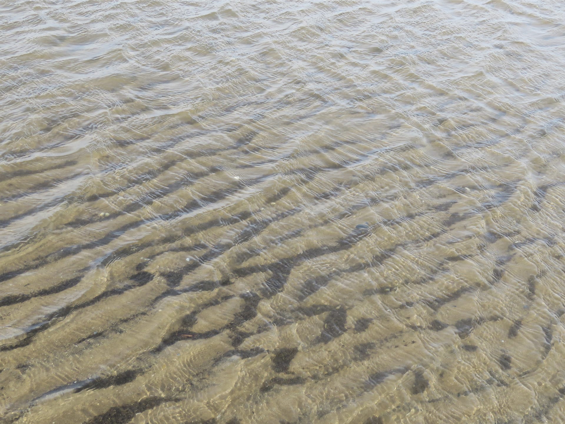 Image of ripples in the sea.