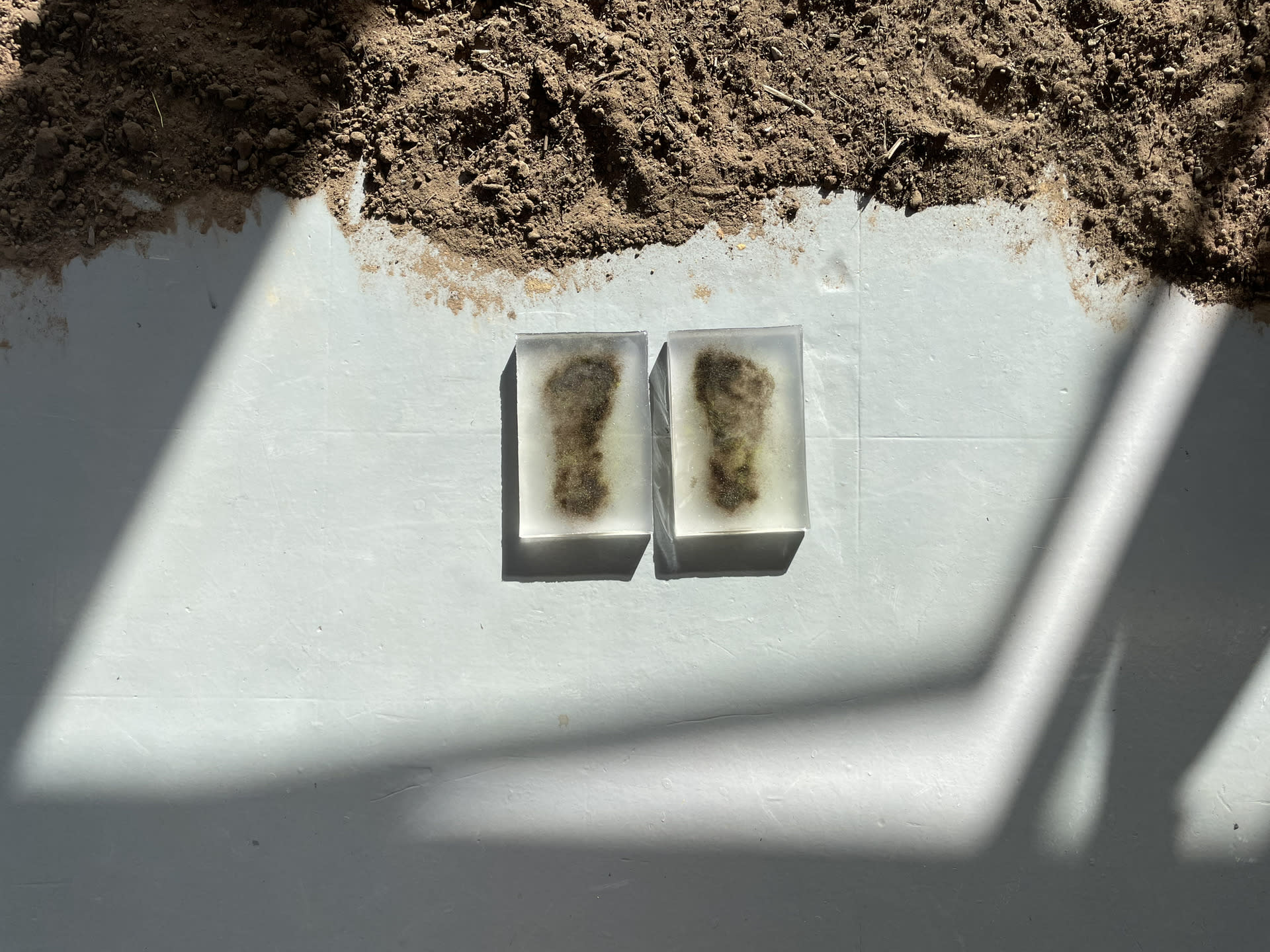 Dirt in the shape of a footprint captured in acrylic blocks