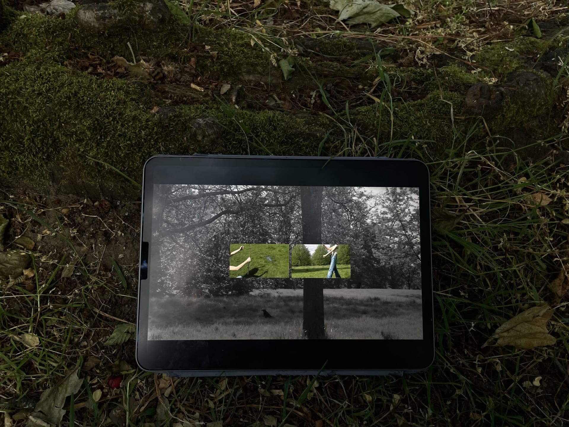 The project is made up of a publication as well as an experimental video that revolves around a narrative of moss plants