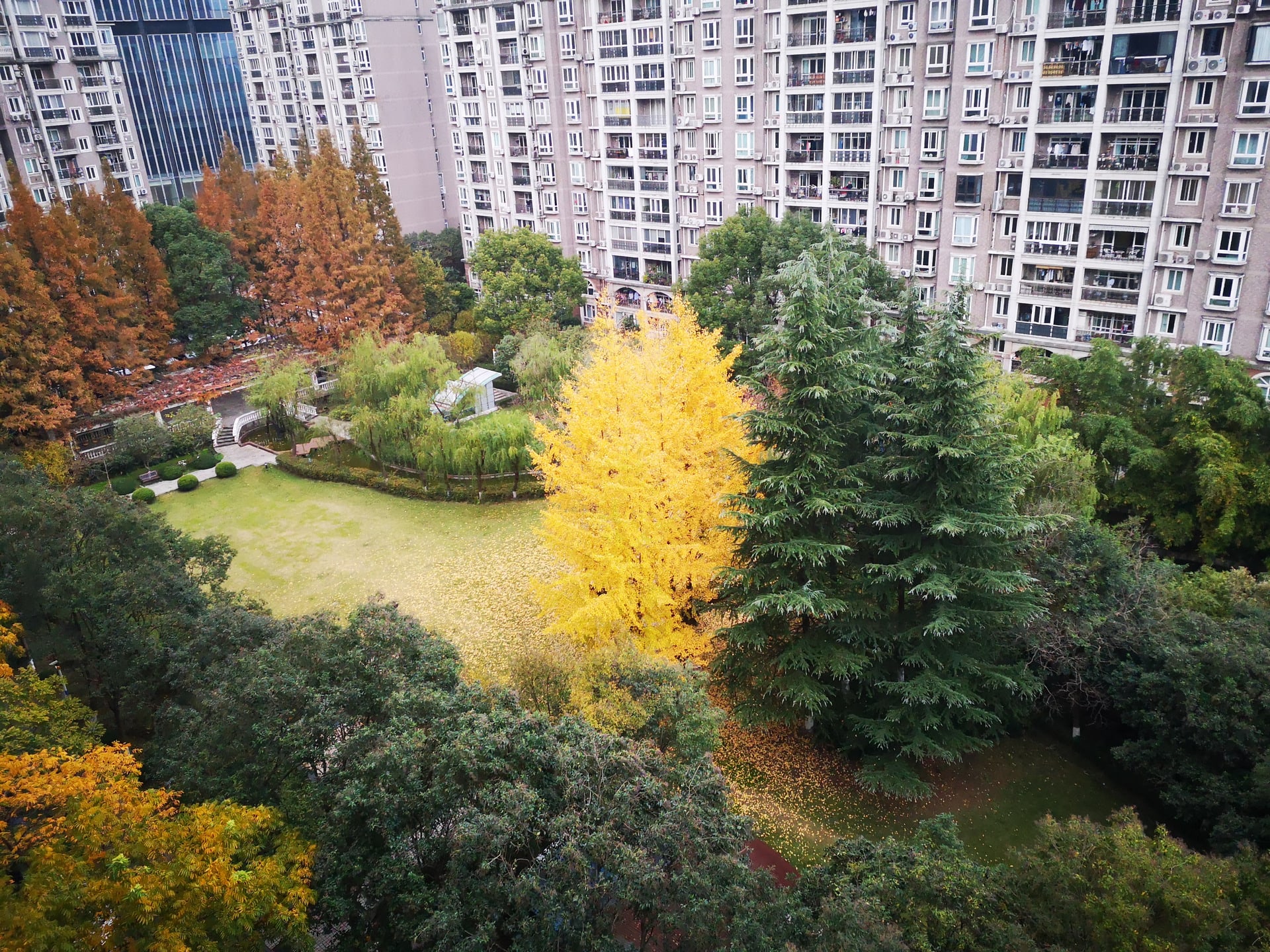 photo of a green space inside a gated micro-district. 