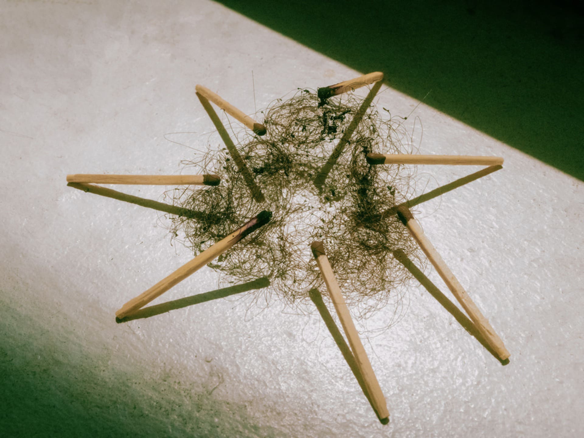 Seven matches in a circle on a mass of black hair.