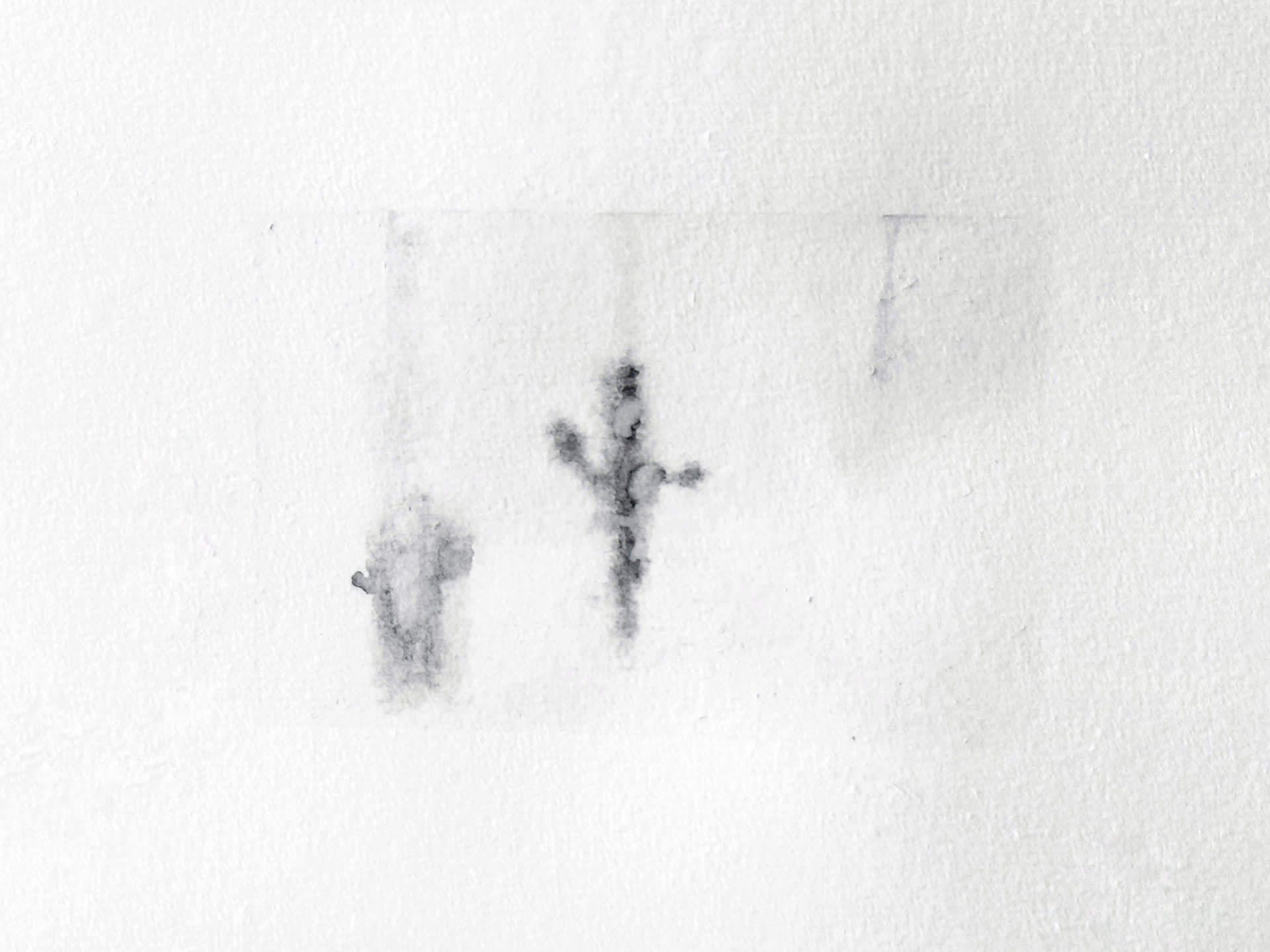 the invisibles no.1