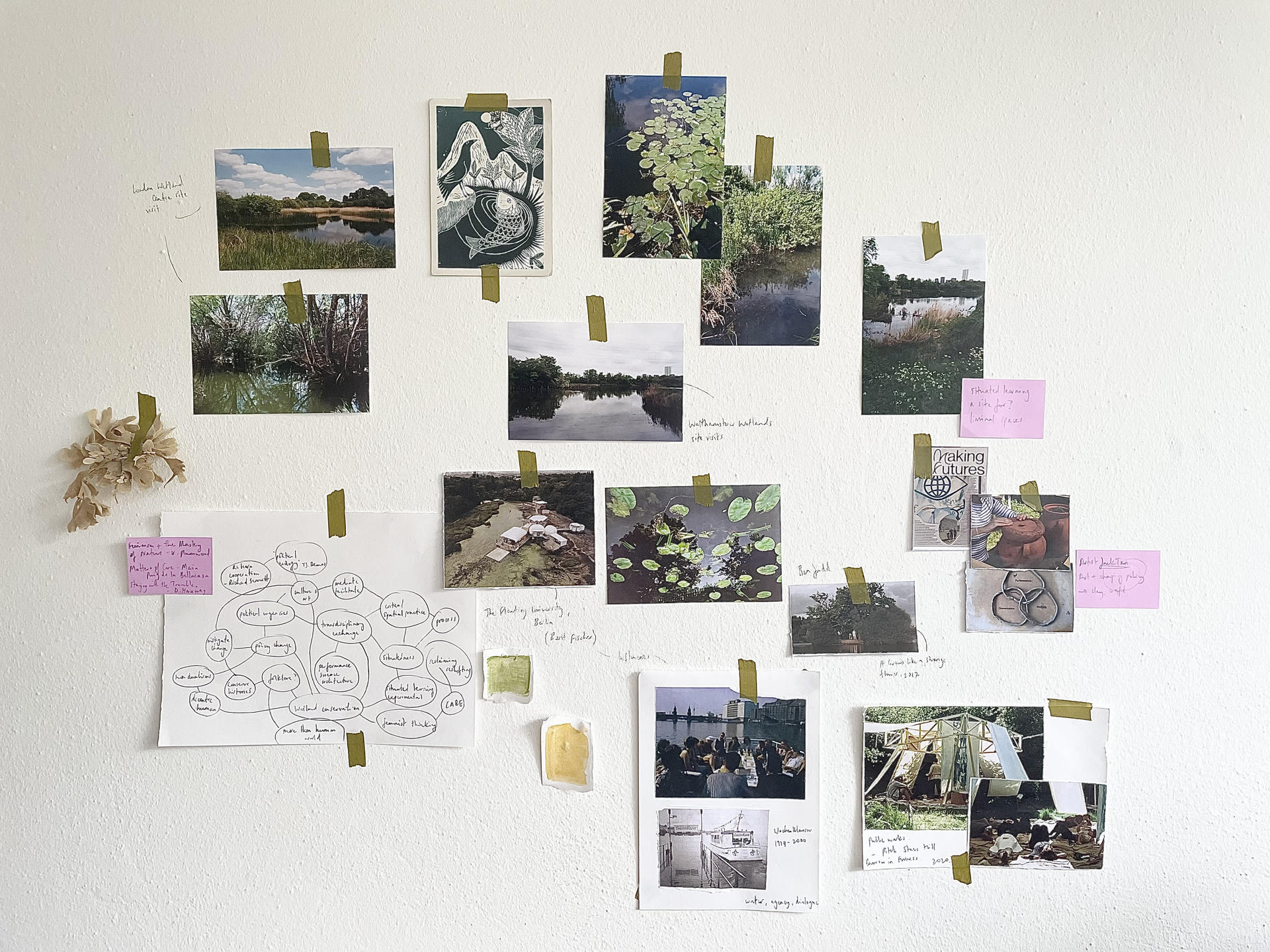 A mood board with photographs of wetlands and images of practitioner's work who have inspired the project 