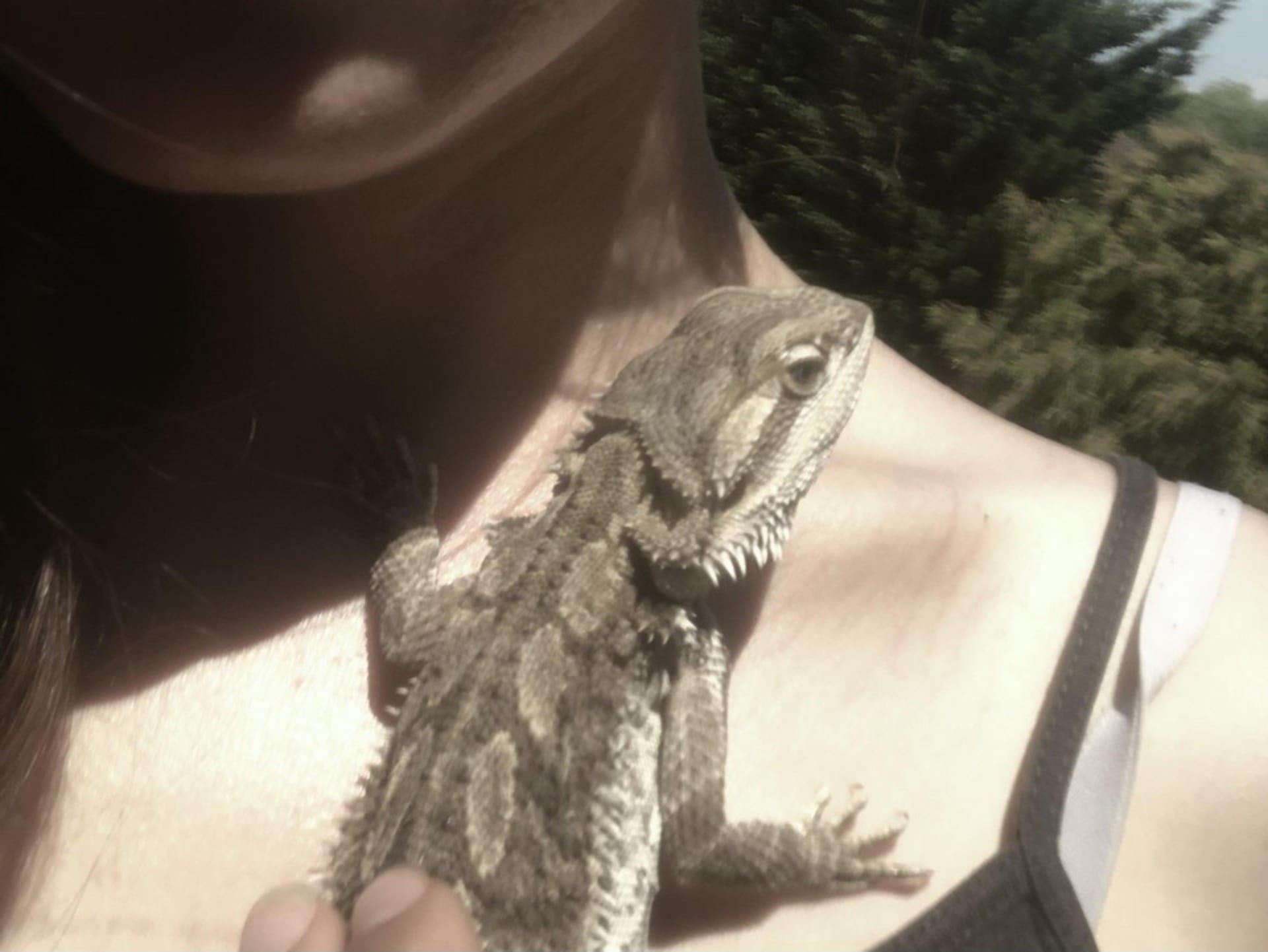 A woman holding a lizard.