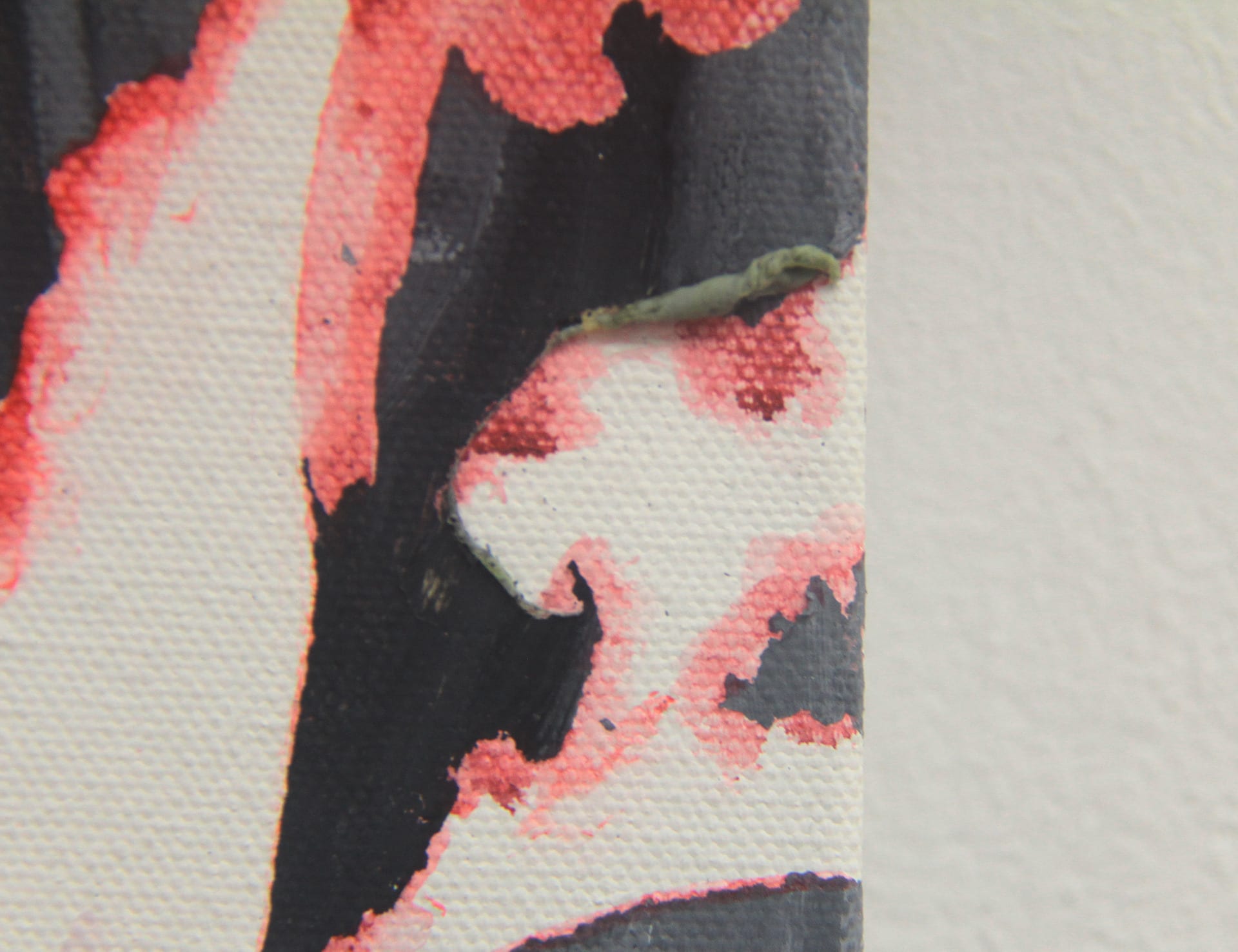 Study of Wounds, Meat and Bones, media item 3