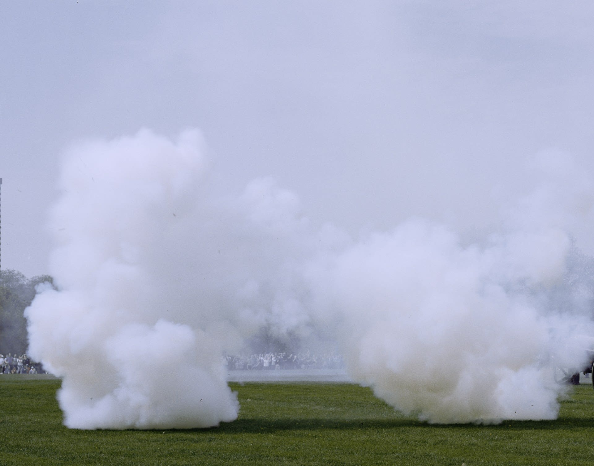 Detail ( Sea of onlookers at Hyde Park for the Royal Gun Salutes. 26 April 2019, II ) 