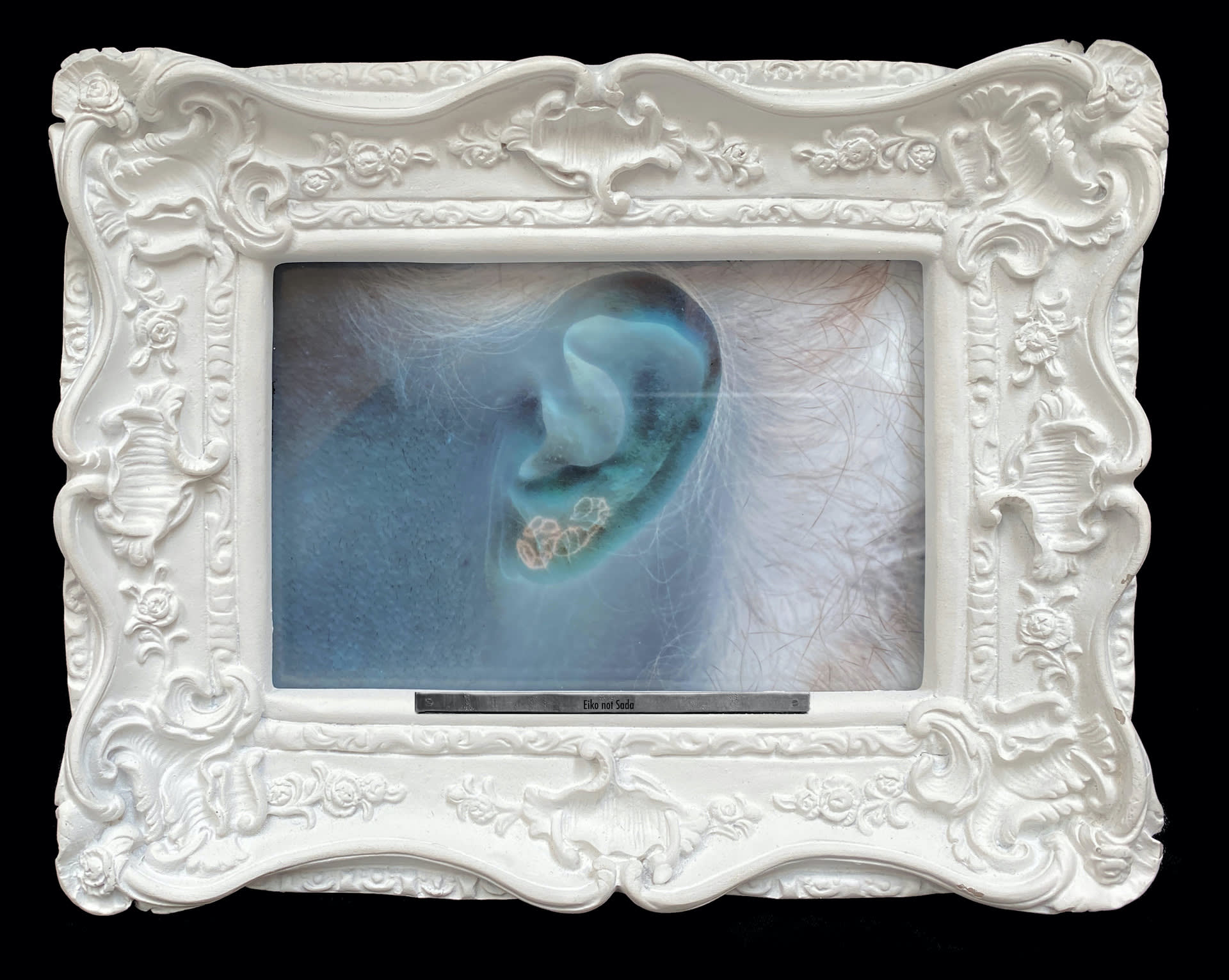 Blue negative image of artist's left ear with scorpion tattoo in a white baroque frame with nameplate reading "Eiko, not Sada"