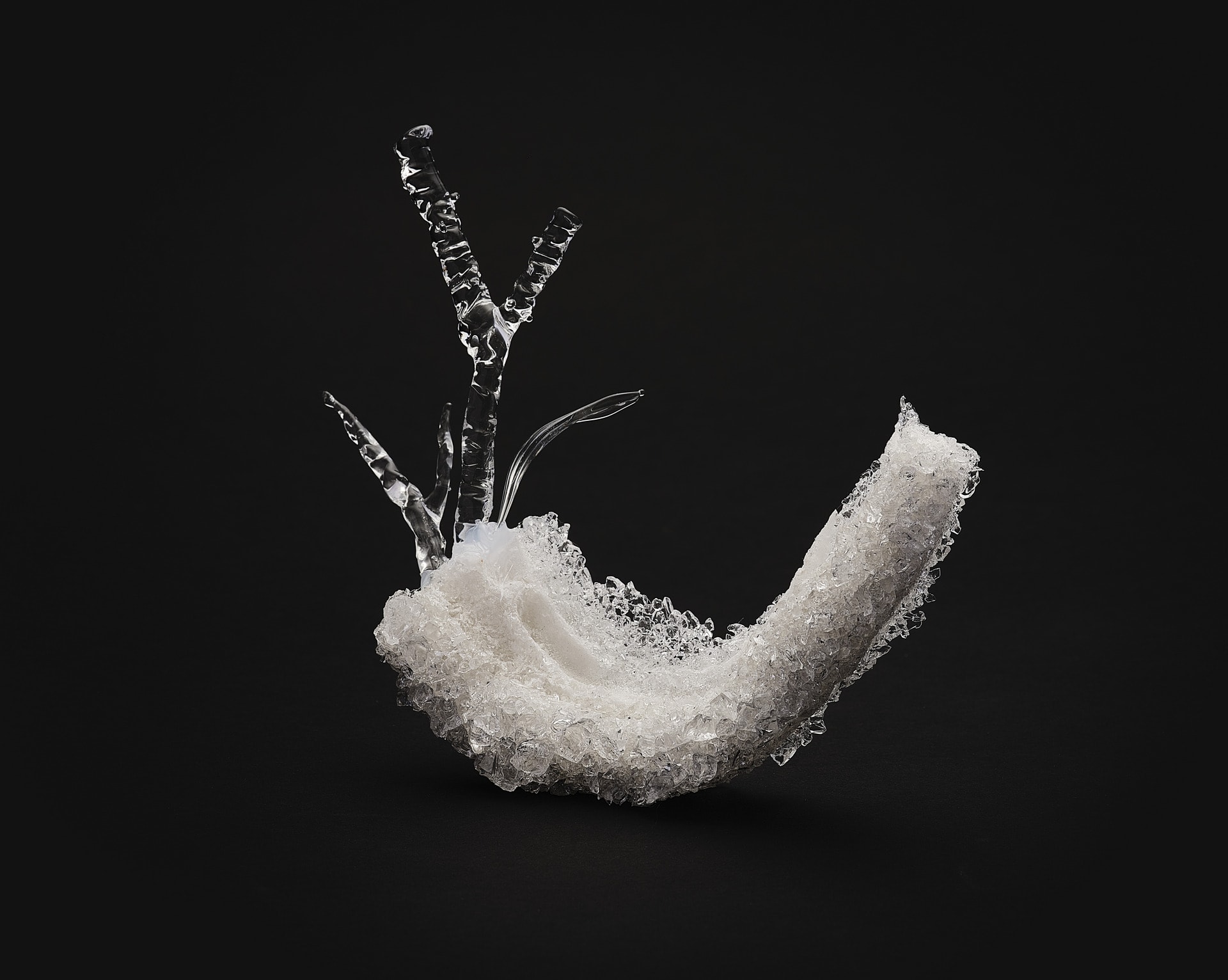 Bones of the Waves 2