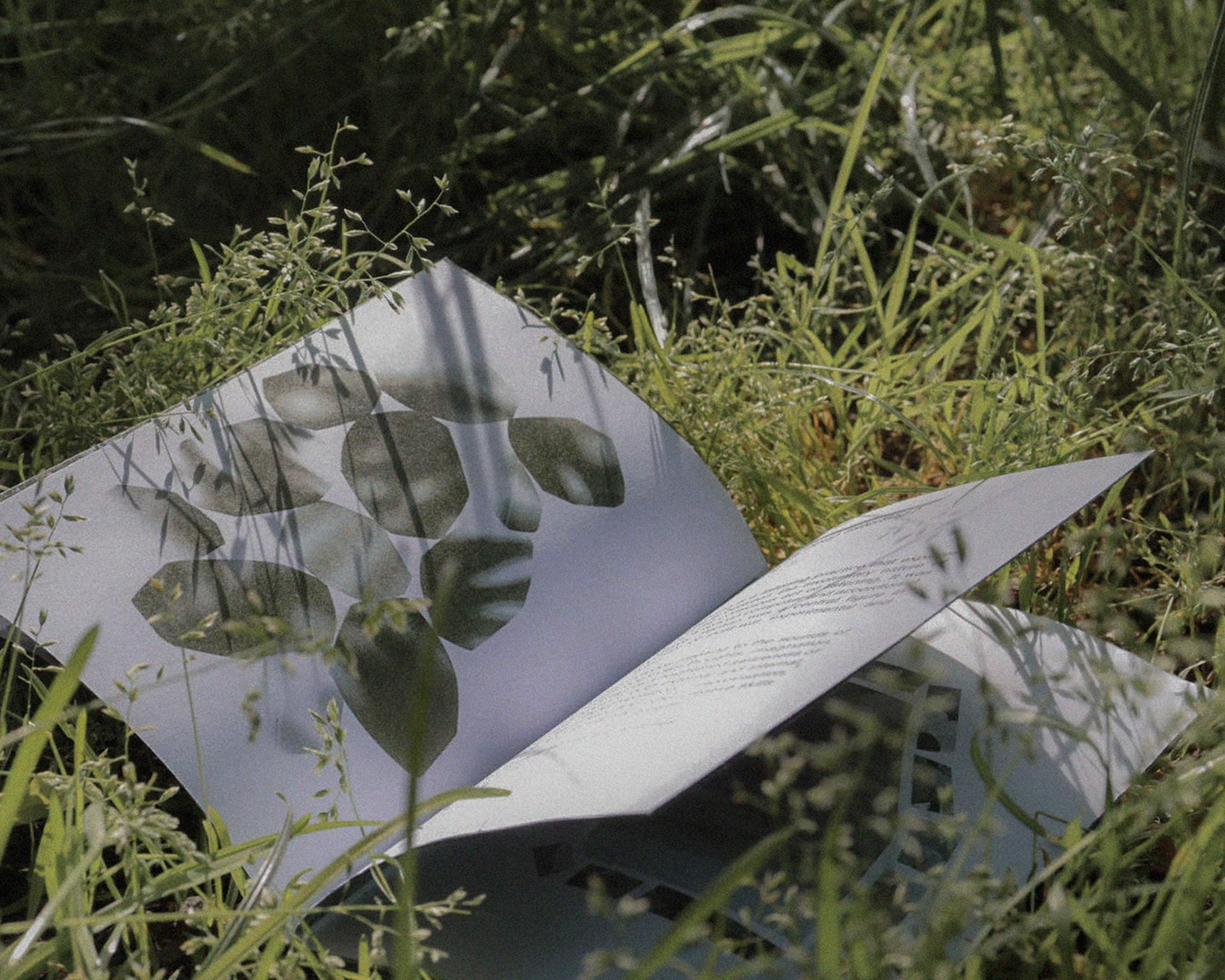 A landsacpe photograph of a printed zine in some grass, with an abstract collage of some rocks.