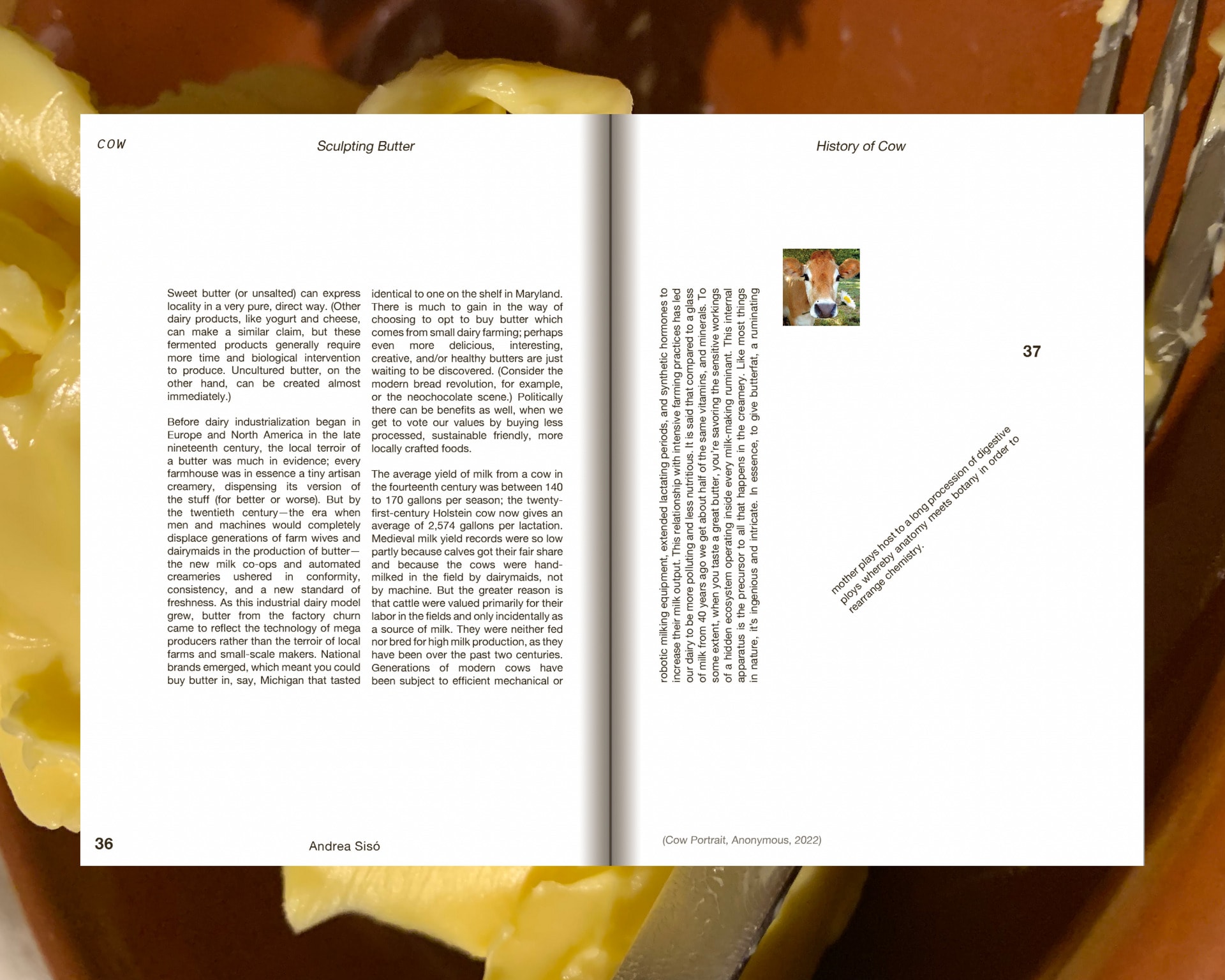 Spread from Sculptural Butter Publication