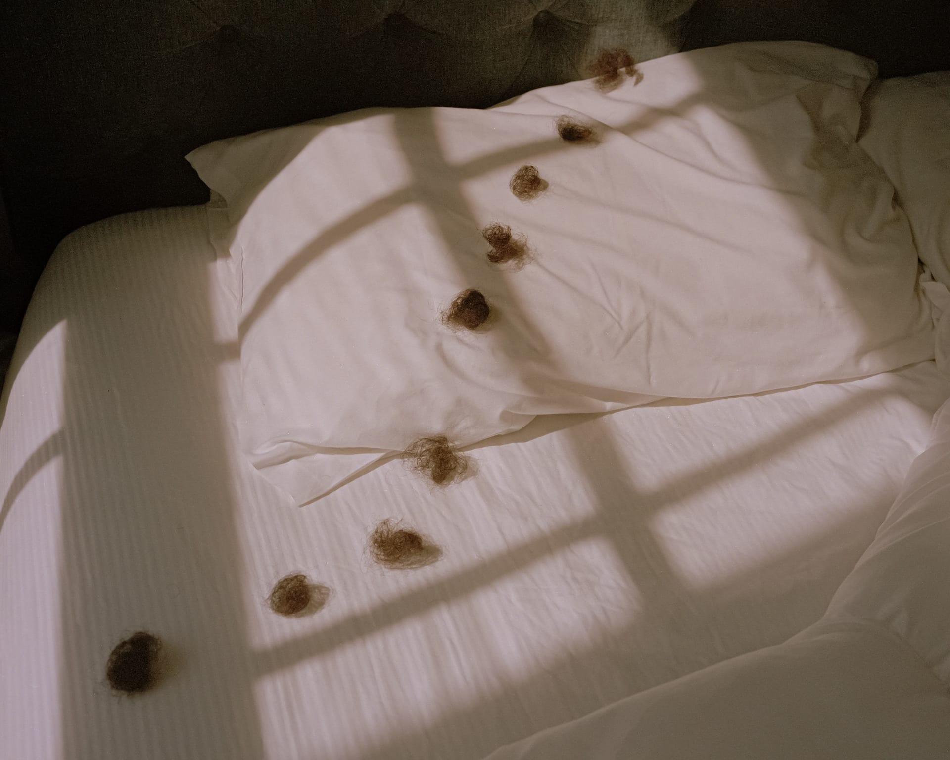 9 small mass of black hair on white bed sheet.