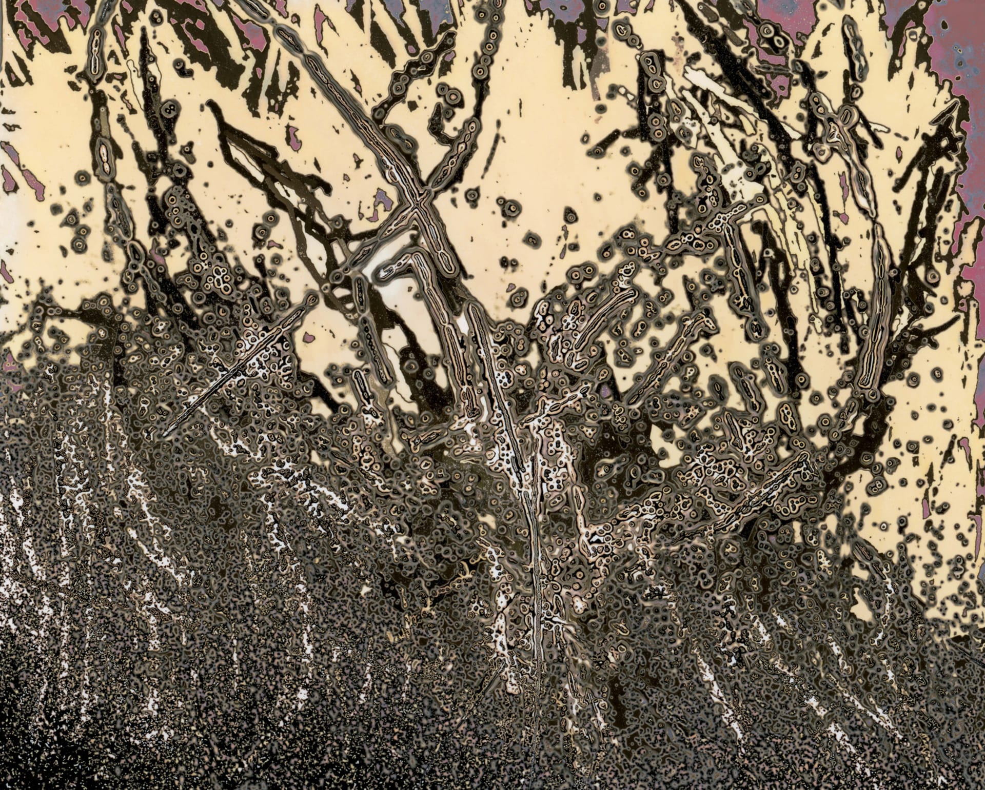 Abstract image created using chemigram processes