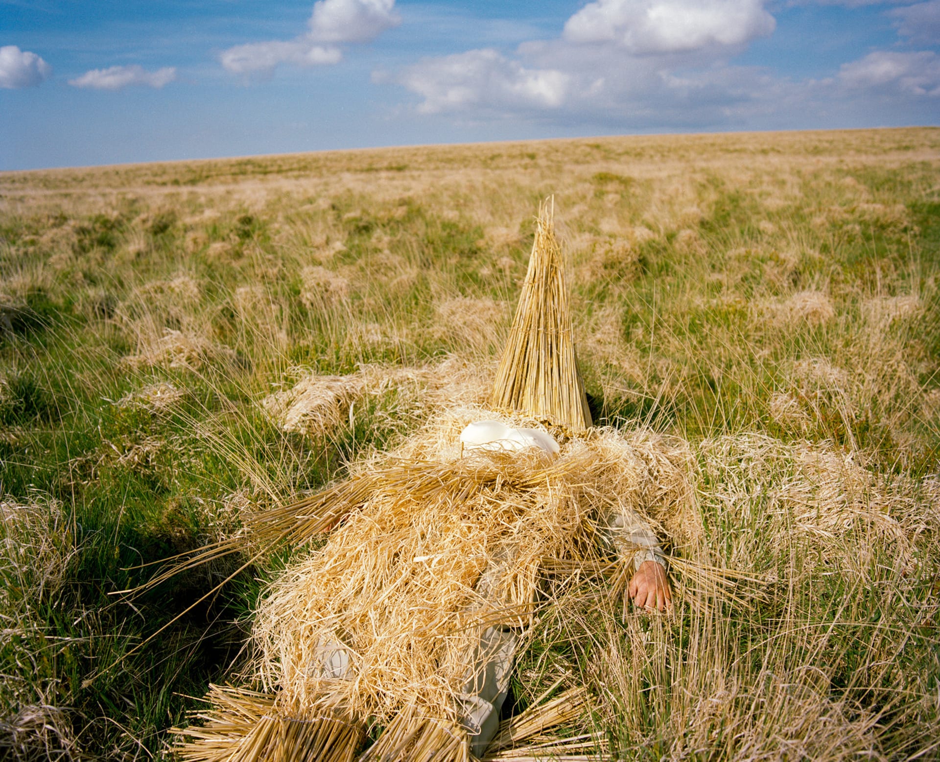 A lone figure stands in a rural landscape