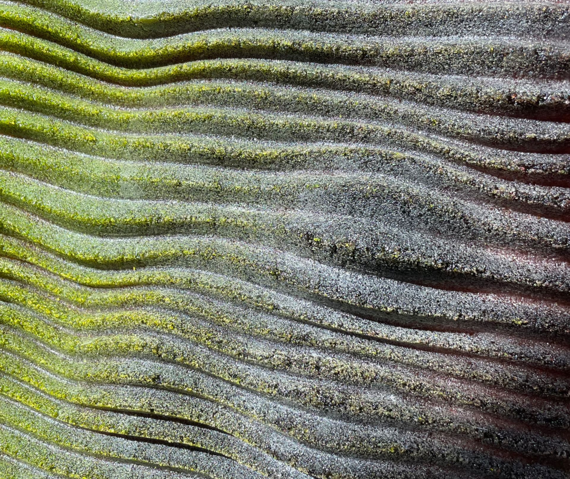 A panel of waves made of tiny pieces of glass frit, mixed together to gradient from a deep dark coral to a bright neon green 