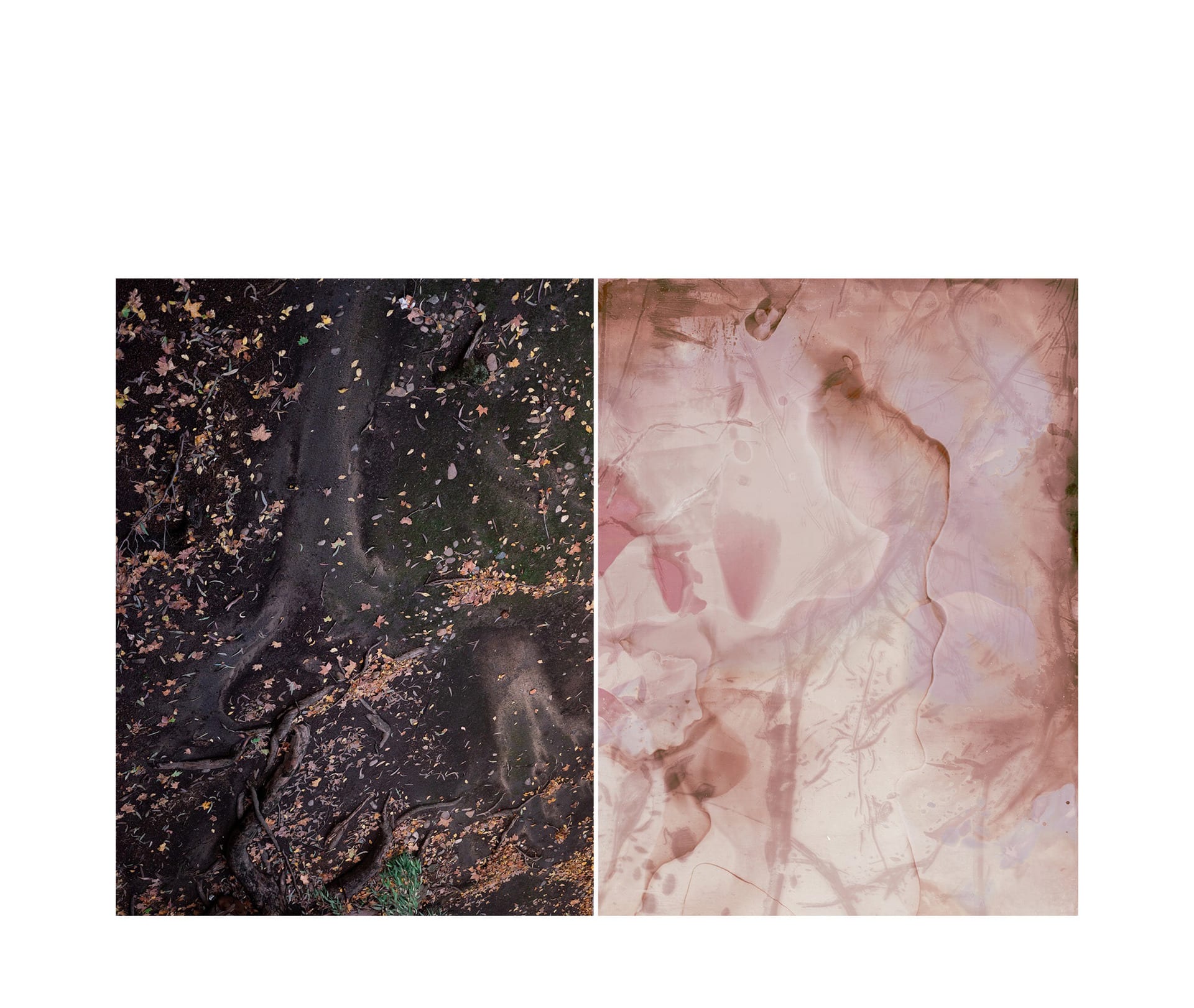 Chemigram
