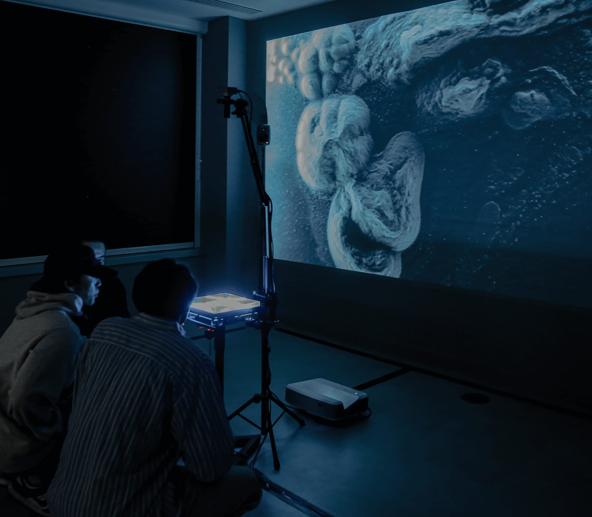 audience watching the plate in the installation