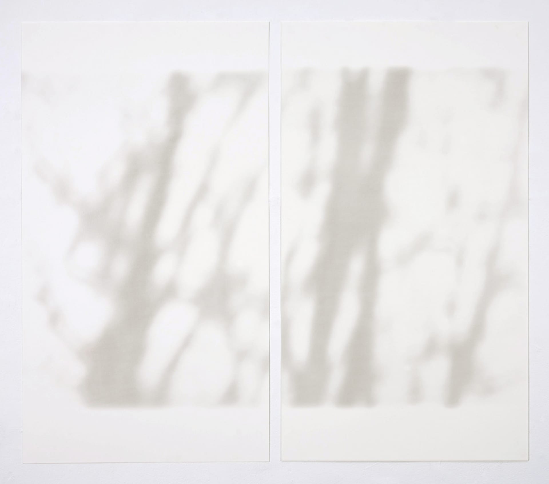 Photolithographic diptych, blurry grey image of tree branches, full bleed crop across two pieces of off-white paper